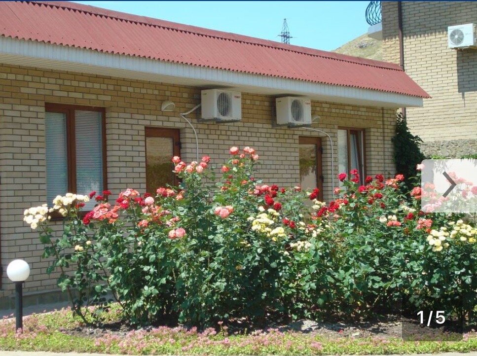 Фото Золотые ворота