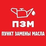Oil change point (Maksima Gorkogo Street, 249), express oil change