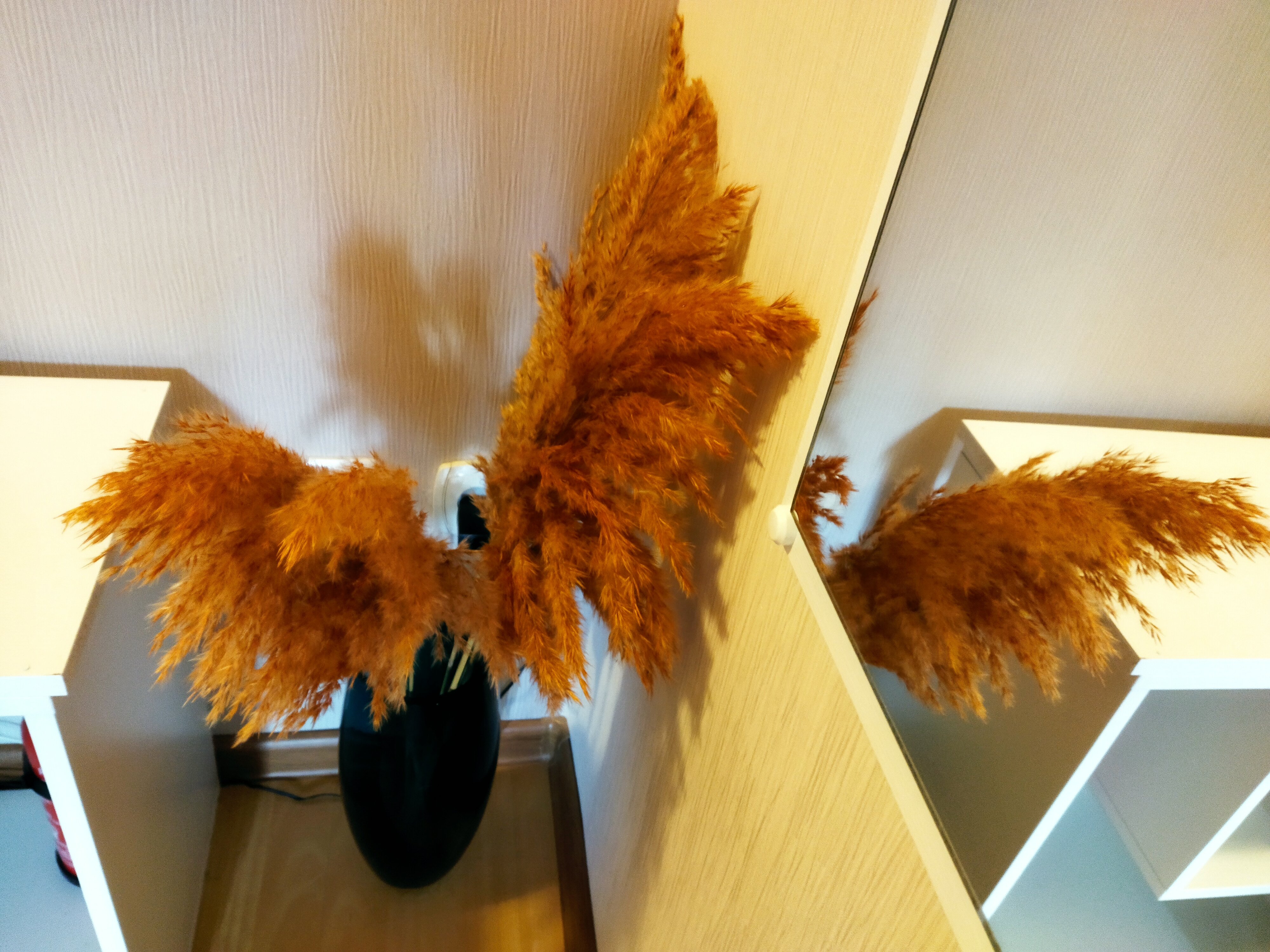 Фото Стоп. Снято!