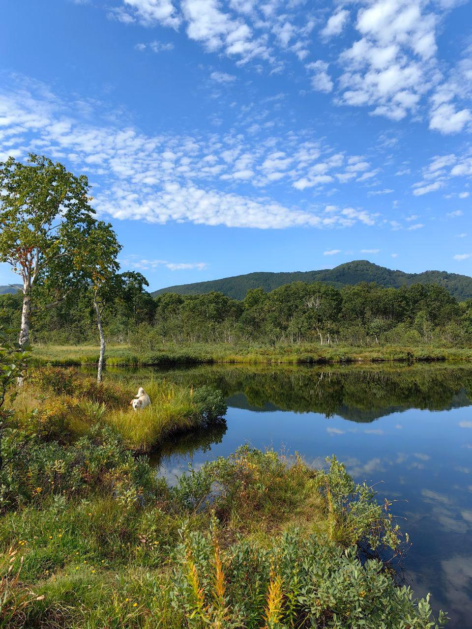 Фото Обитаемая Земля. Ойкумена