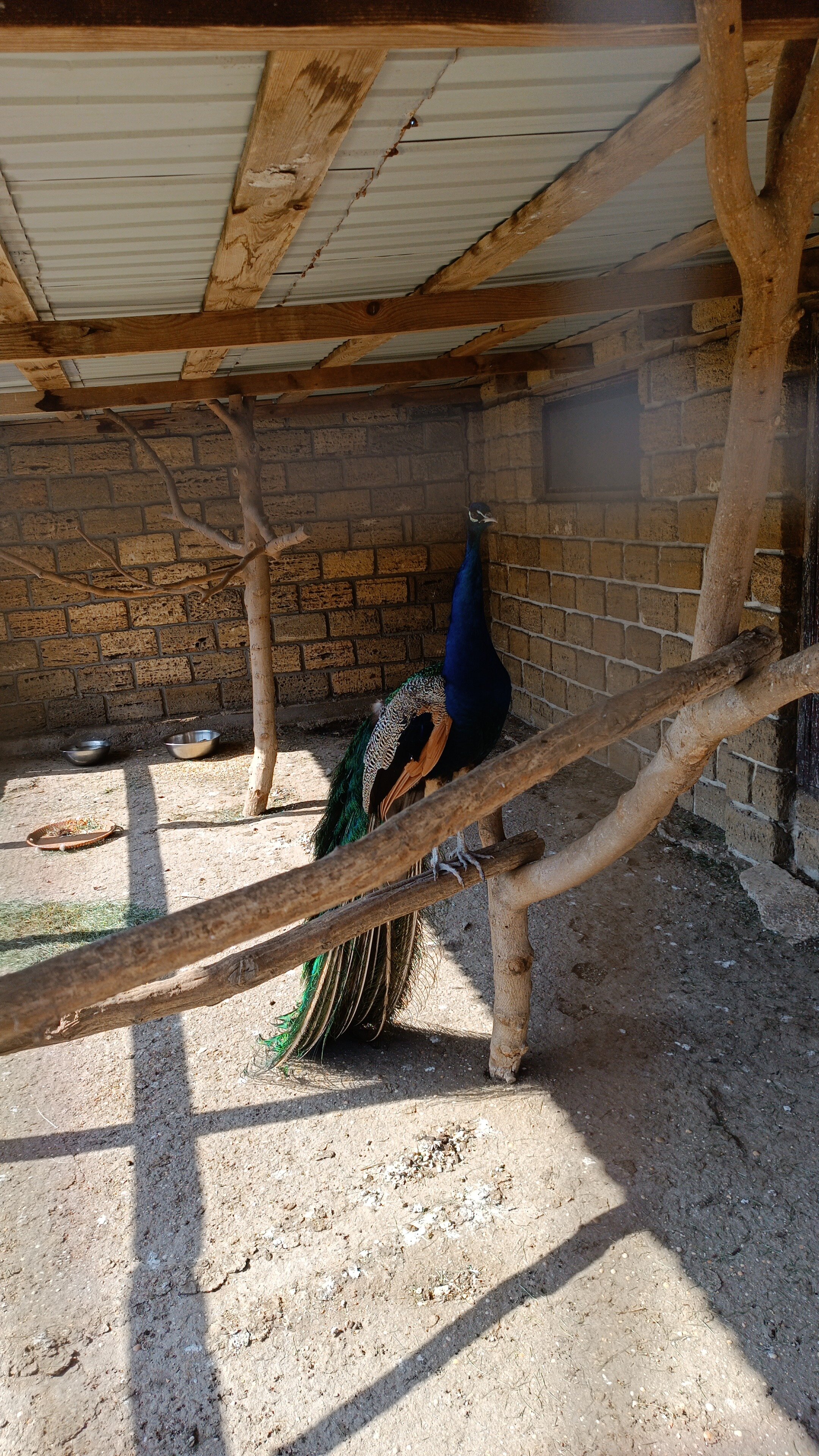 Фото Казантип центр