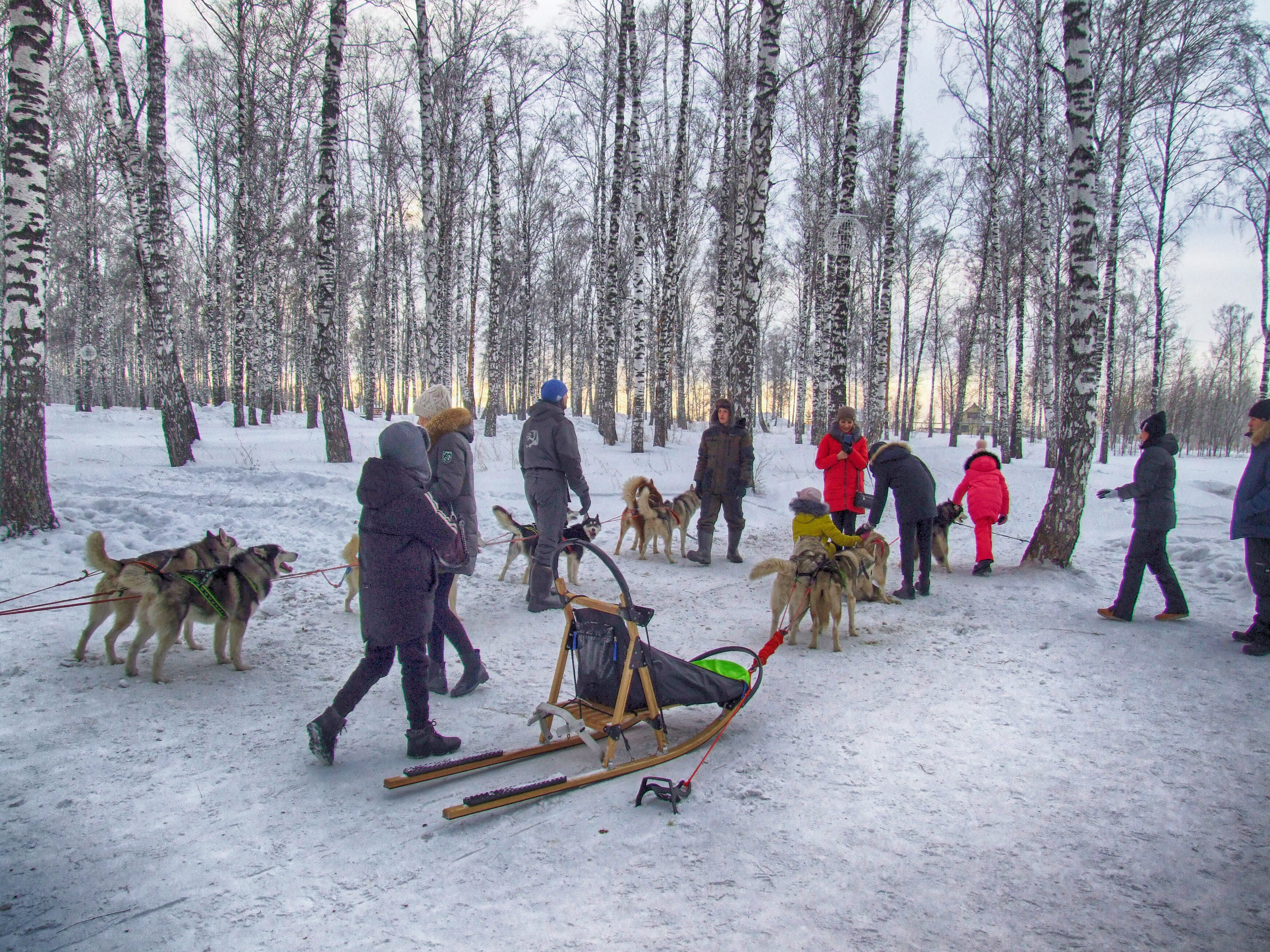 Фото Застава