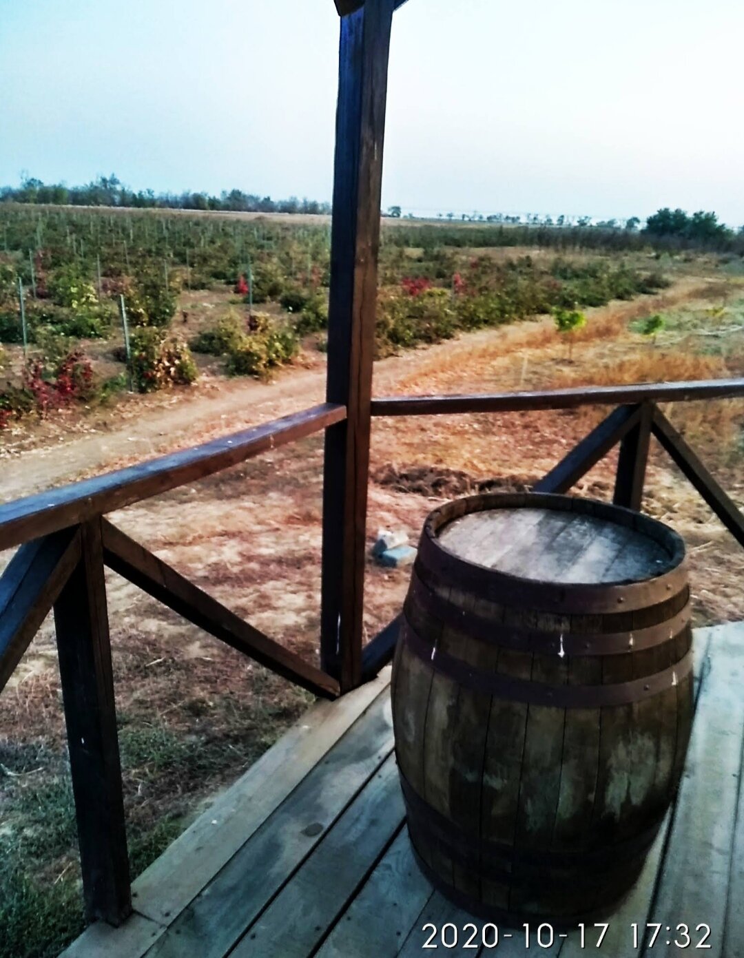 Фото Усадьба Саркел