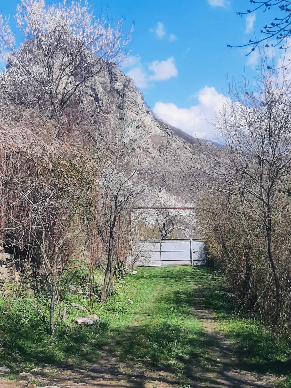 Фото Дом у реки