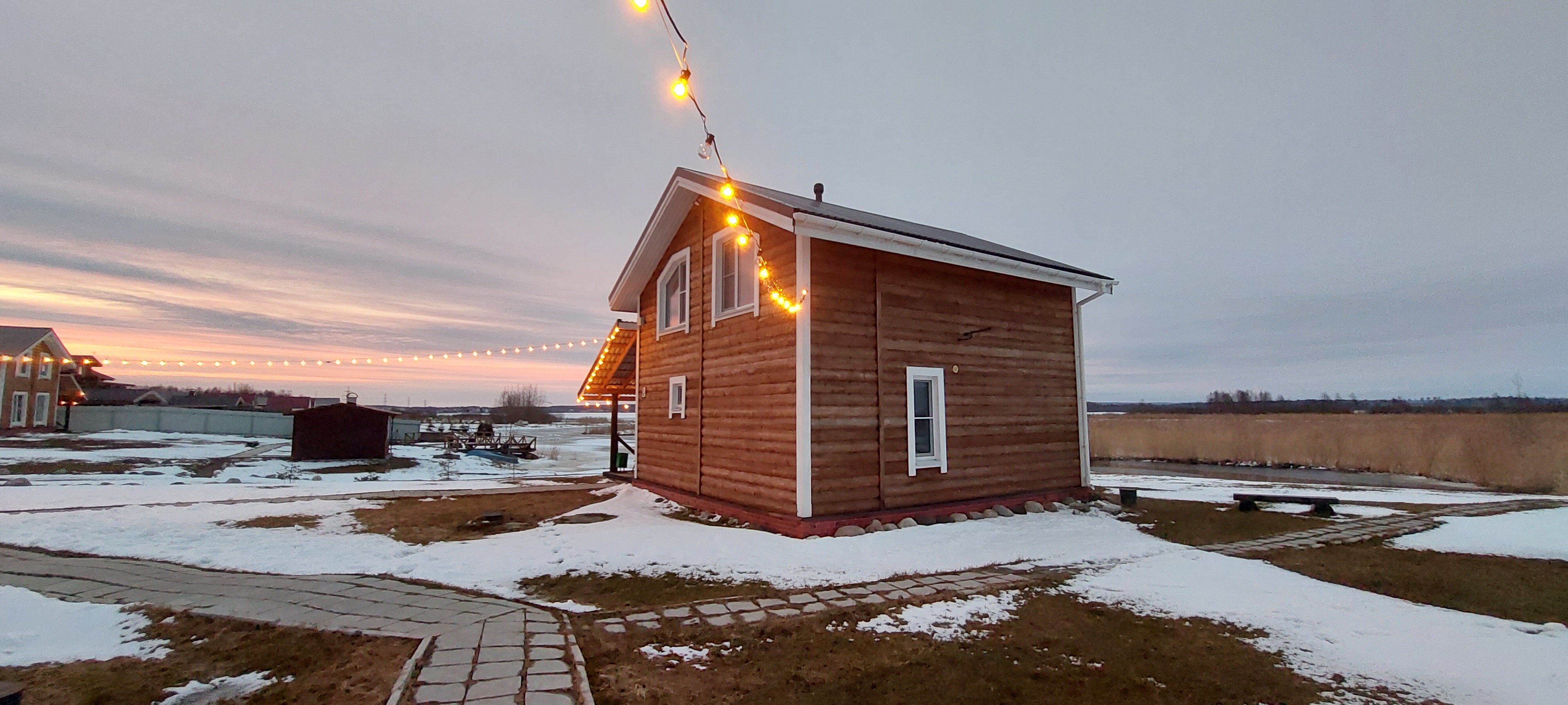 Фото Хитрый Лис