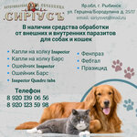 Сириус (ул. Герцена, 25, Центральный микрорайон), ветеринарная клиника в Рыбинске