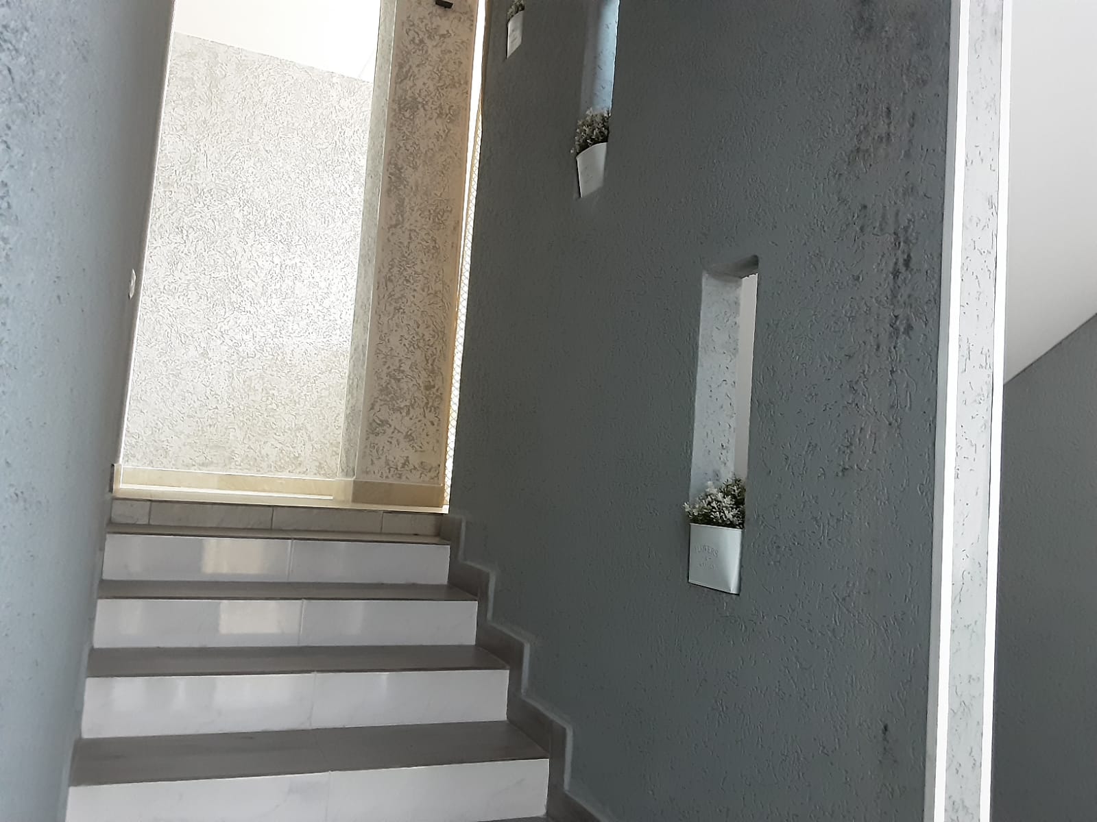 Фото Лайнер