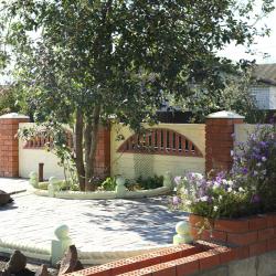 Фото Викторис