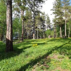 Фото Архыз Сити, Софийская поляна