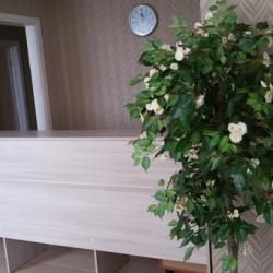 Фото Гермес