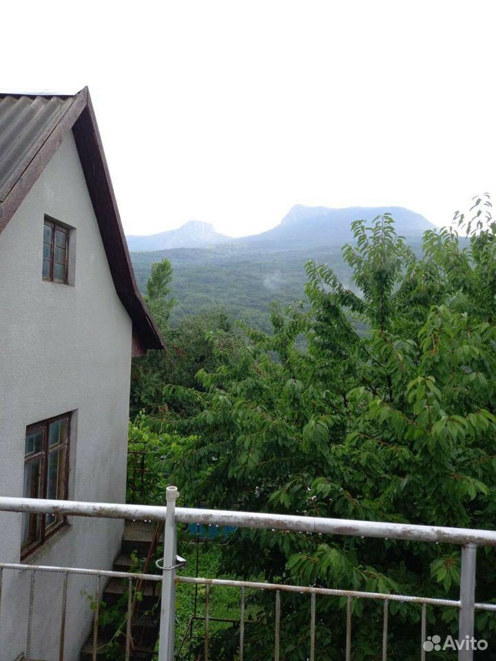 Фото Пчёлка