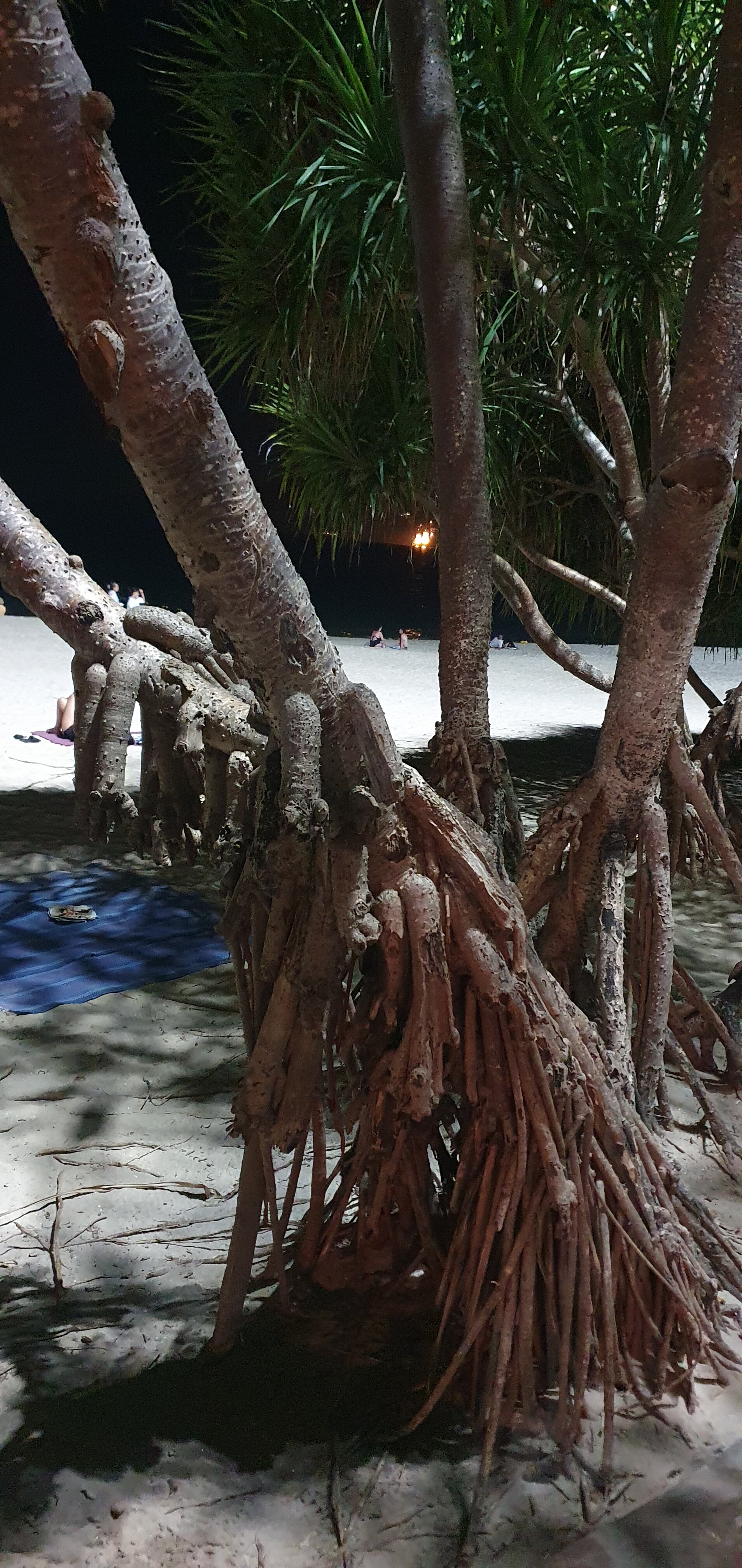 Фото Deevana Patong Resort & SPA