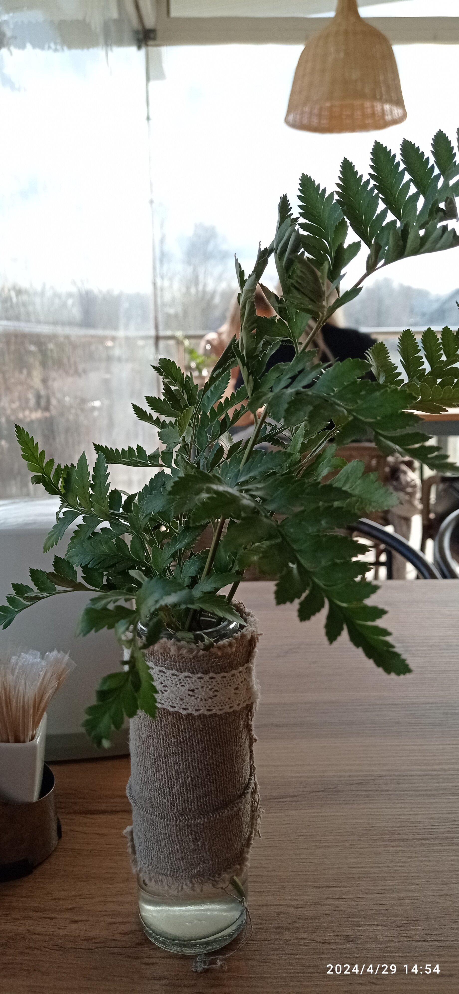 Фото Отель на Ваге