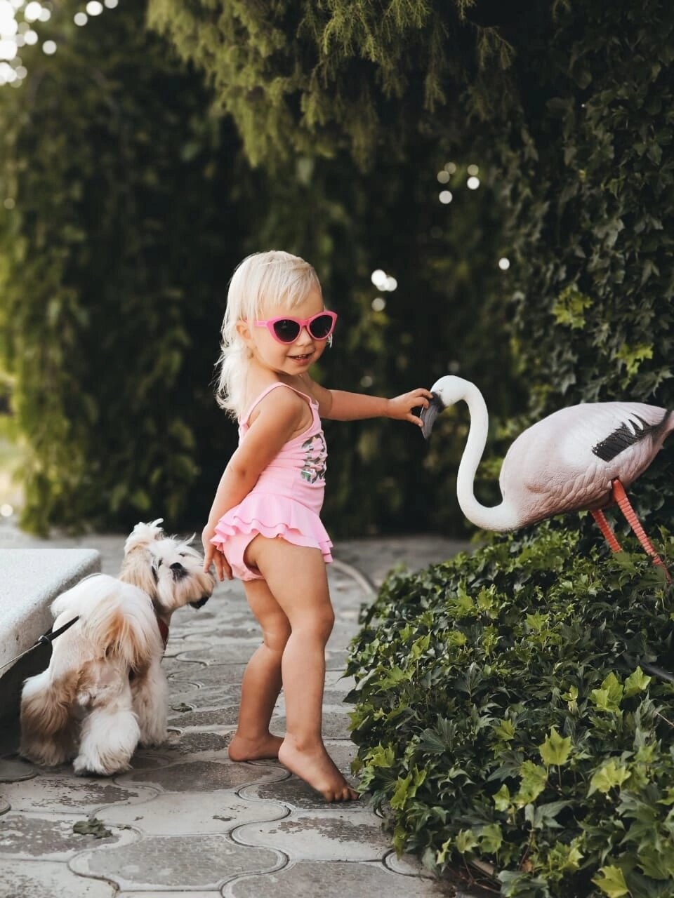 Фото Вилла Роз