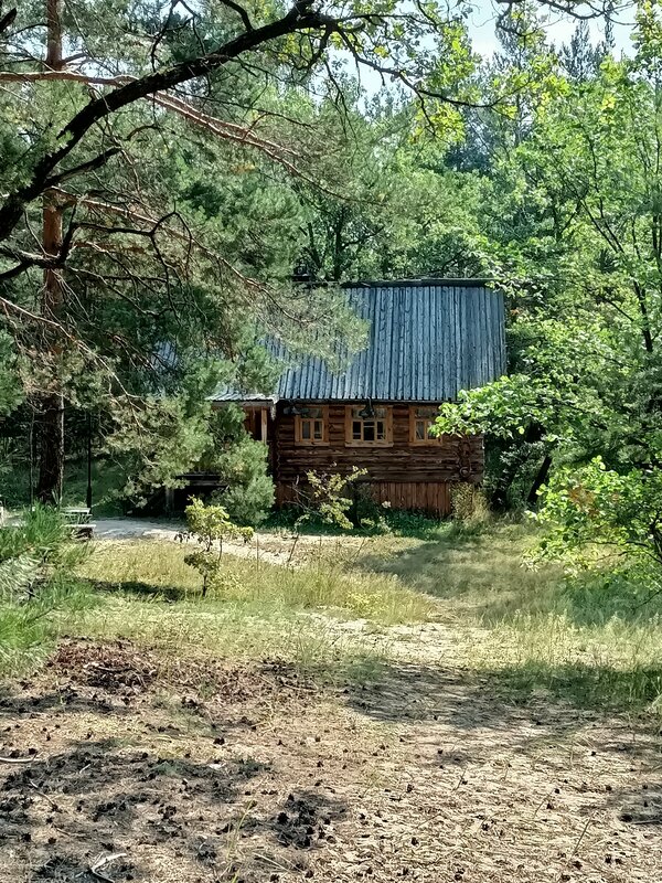 В гостях у сказки — фото 26