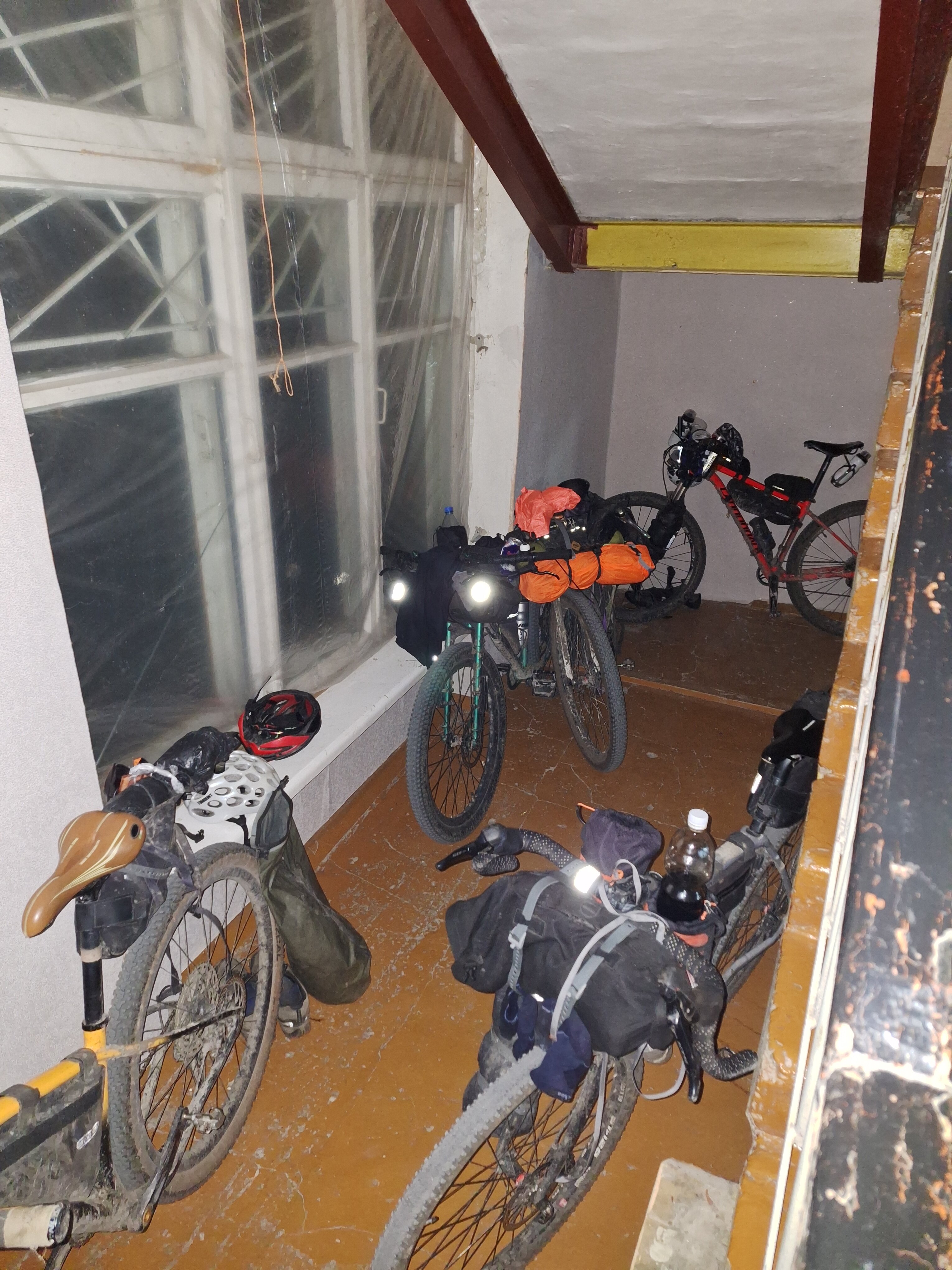 Фото Лазоревая