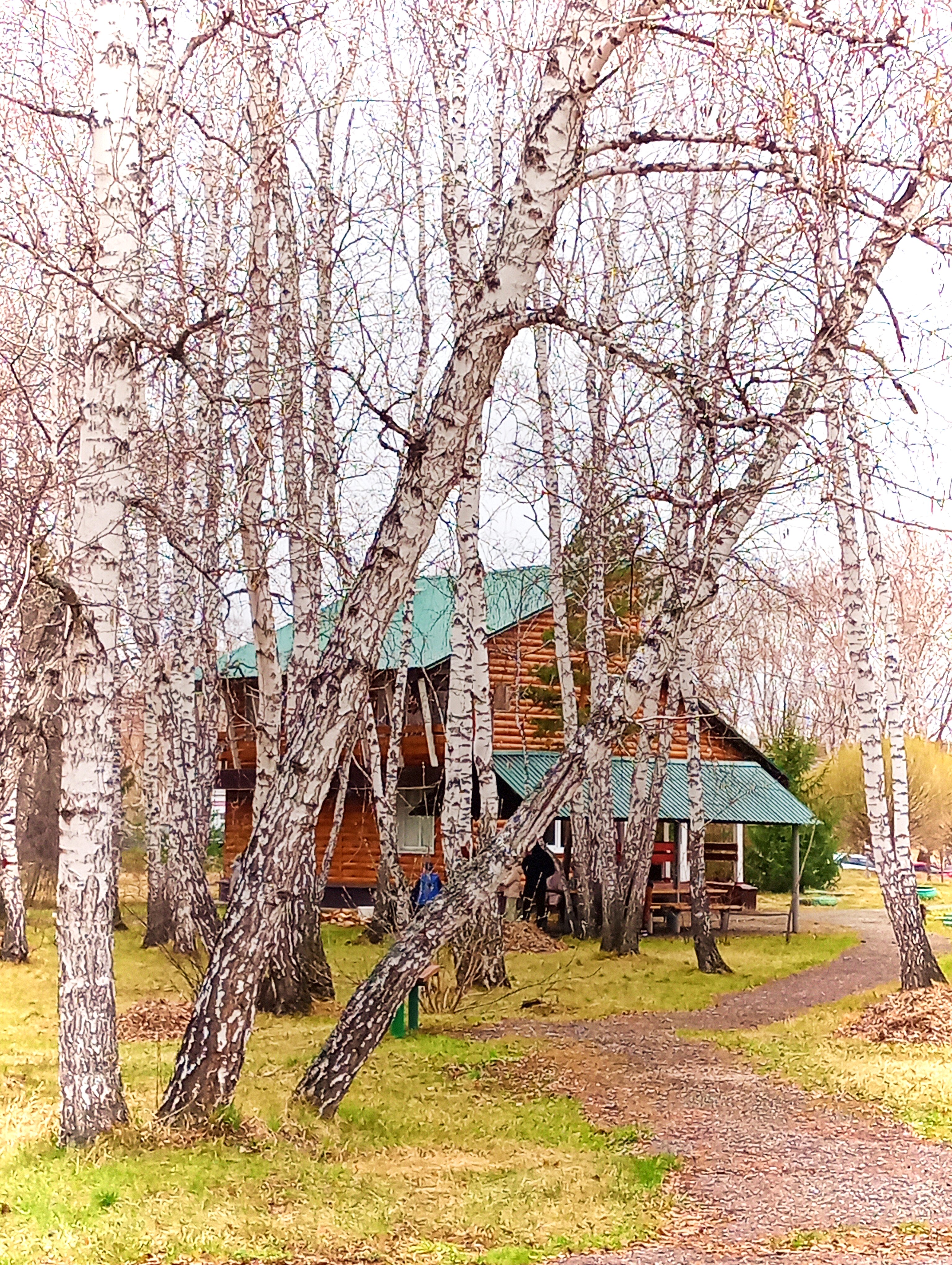 Фото Зотино