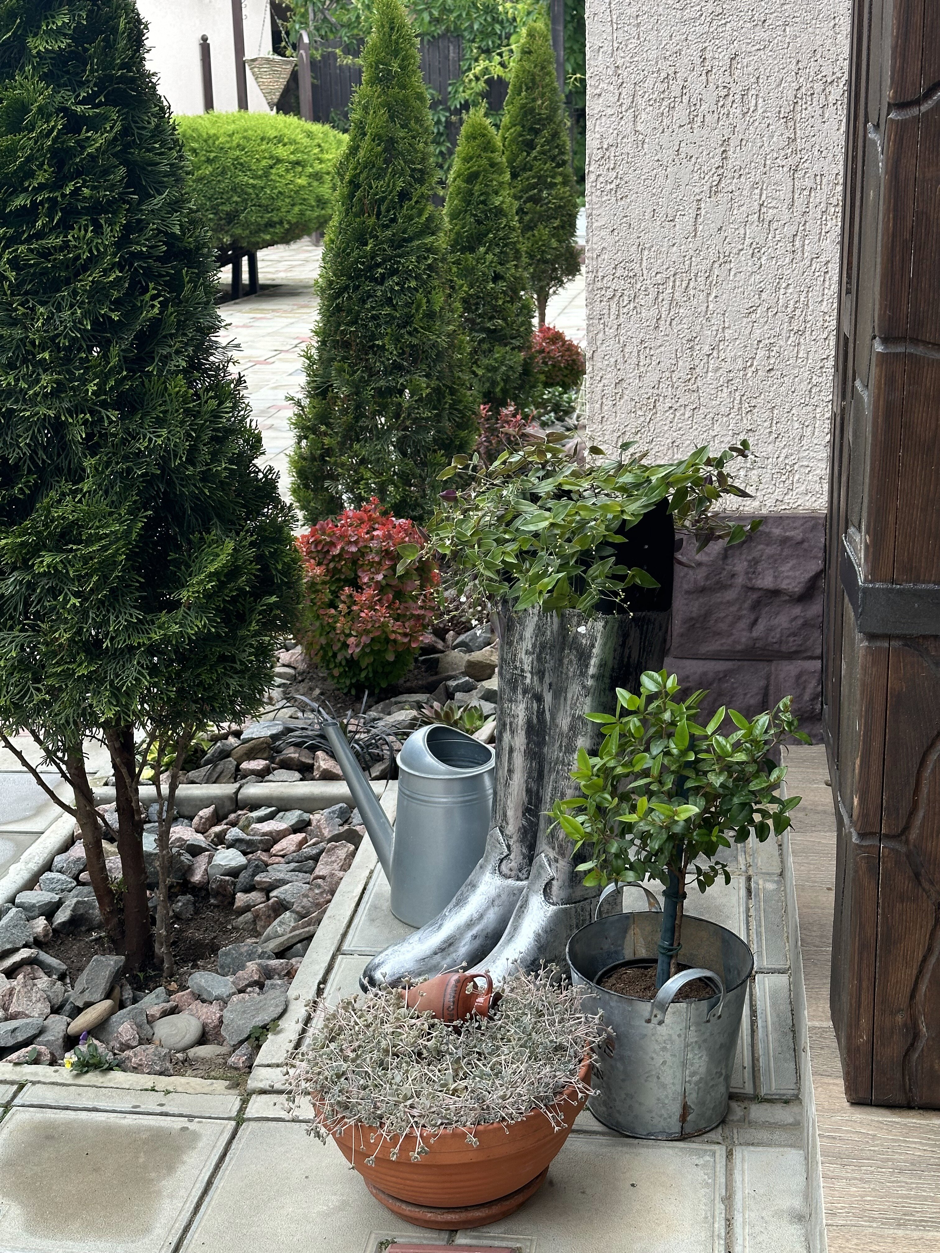 Фото Семейный