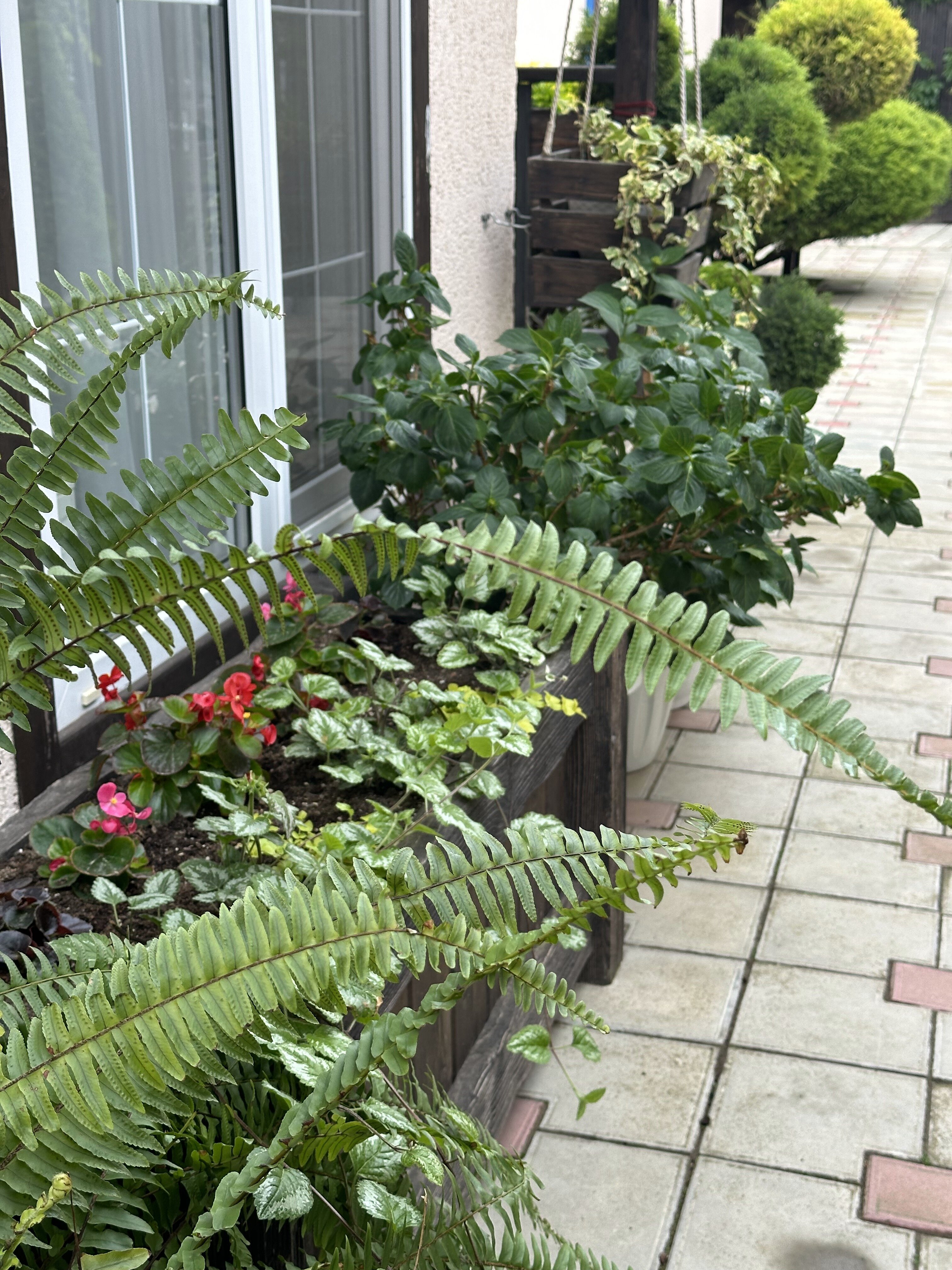 Фото Семейный