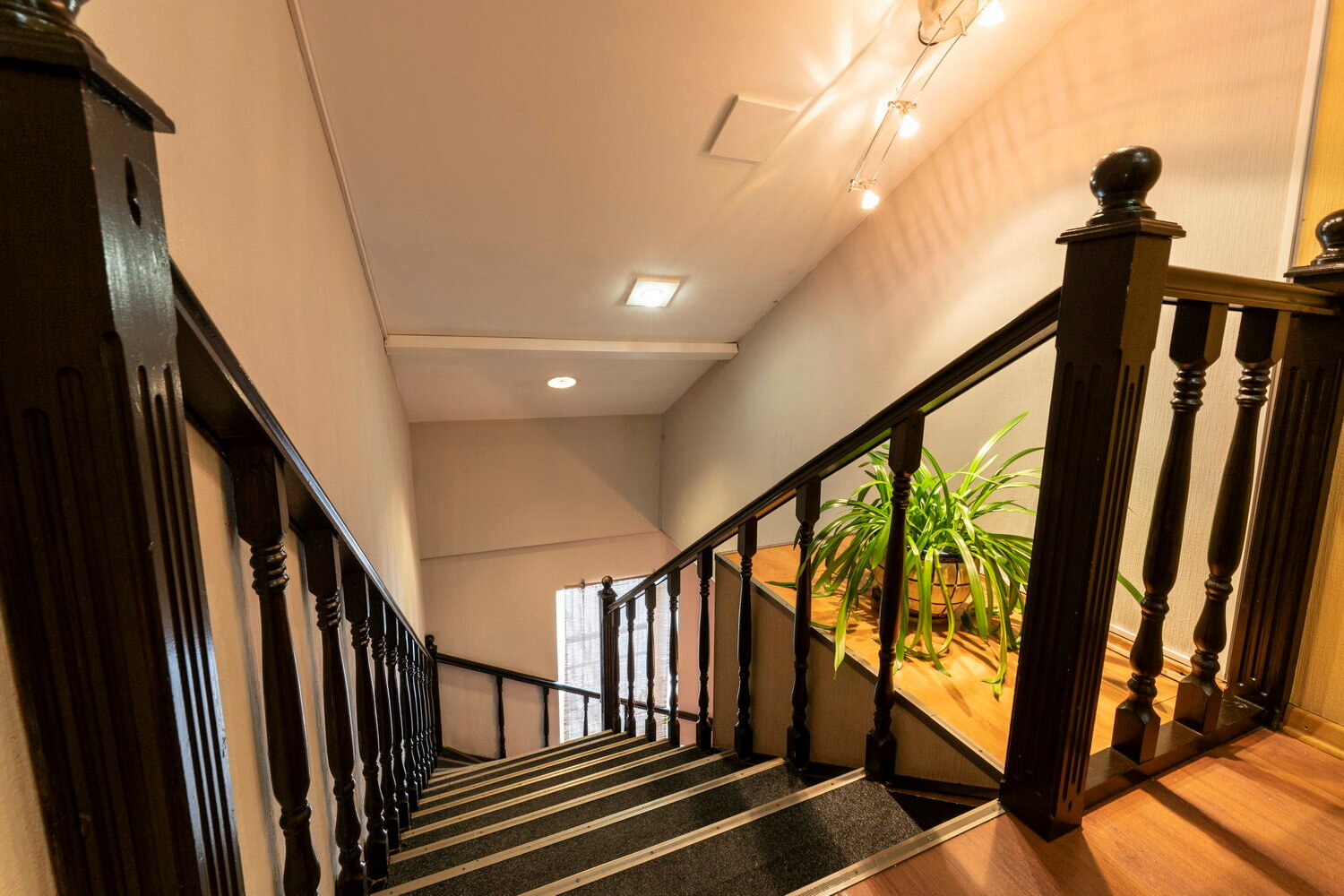 Фото Невский Дом