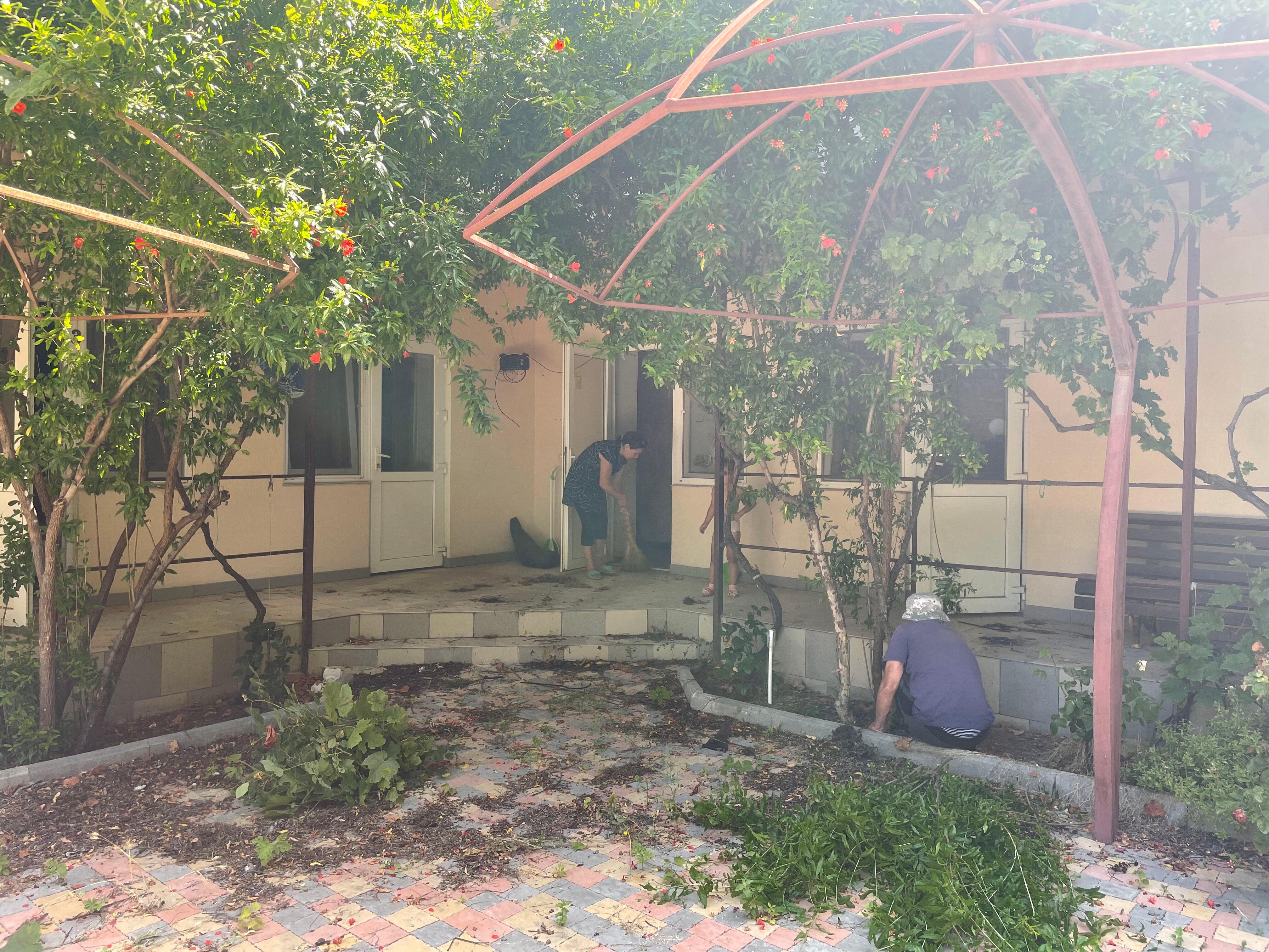 Фото Кипарис