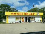 Лидер (село Останино, Колхозная улица, 20Б), grocery