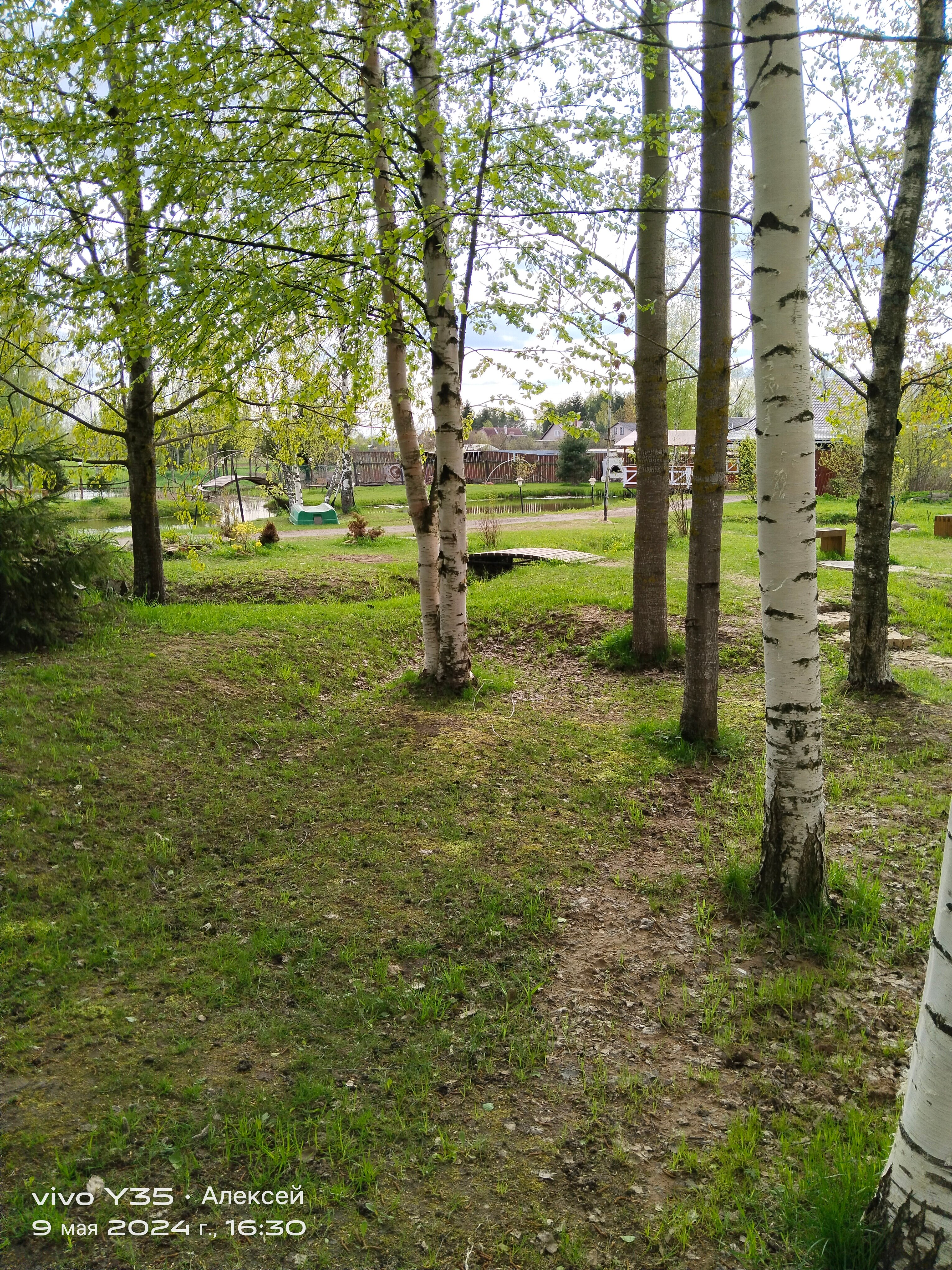 Фото Моисеевичи Life