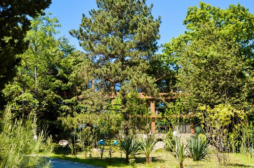 Дом отдыха Жемчужина Кавказа в Новомихайловском