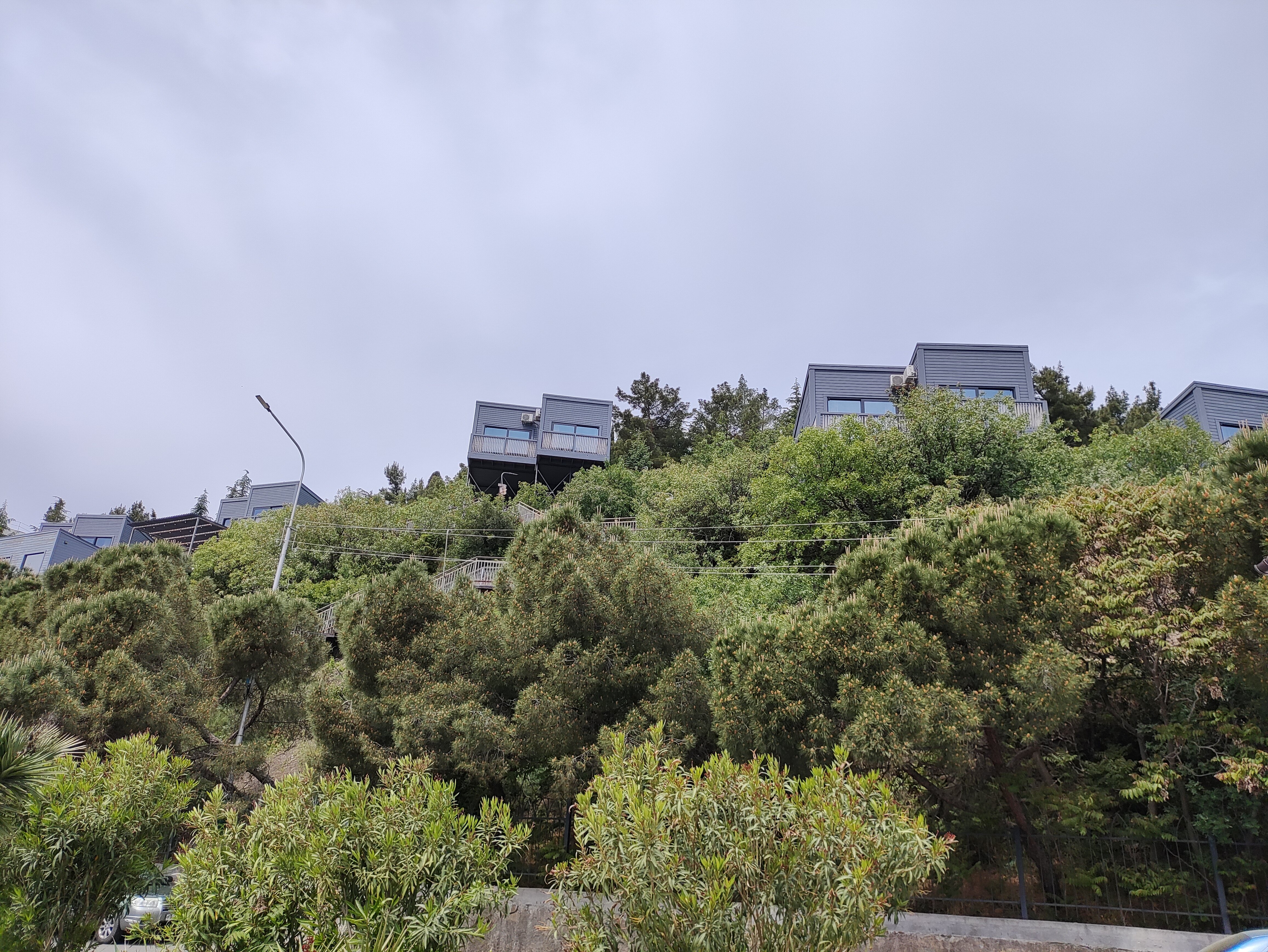 Фото Бунгало Билл