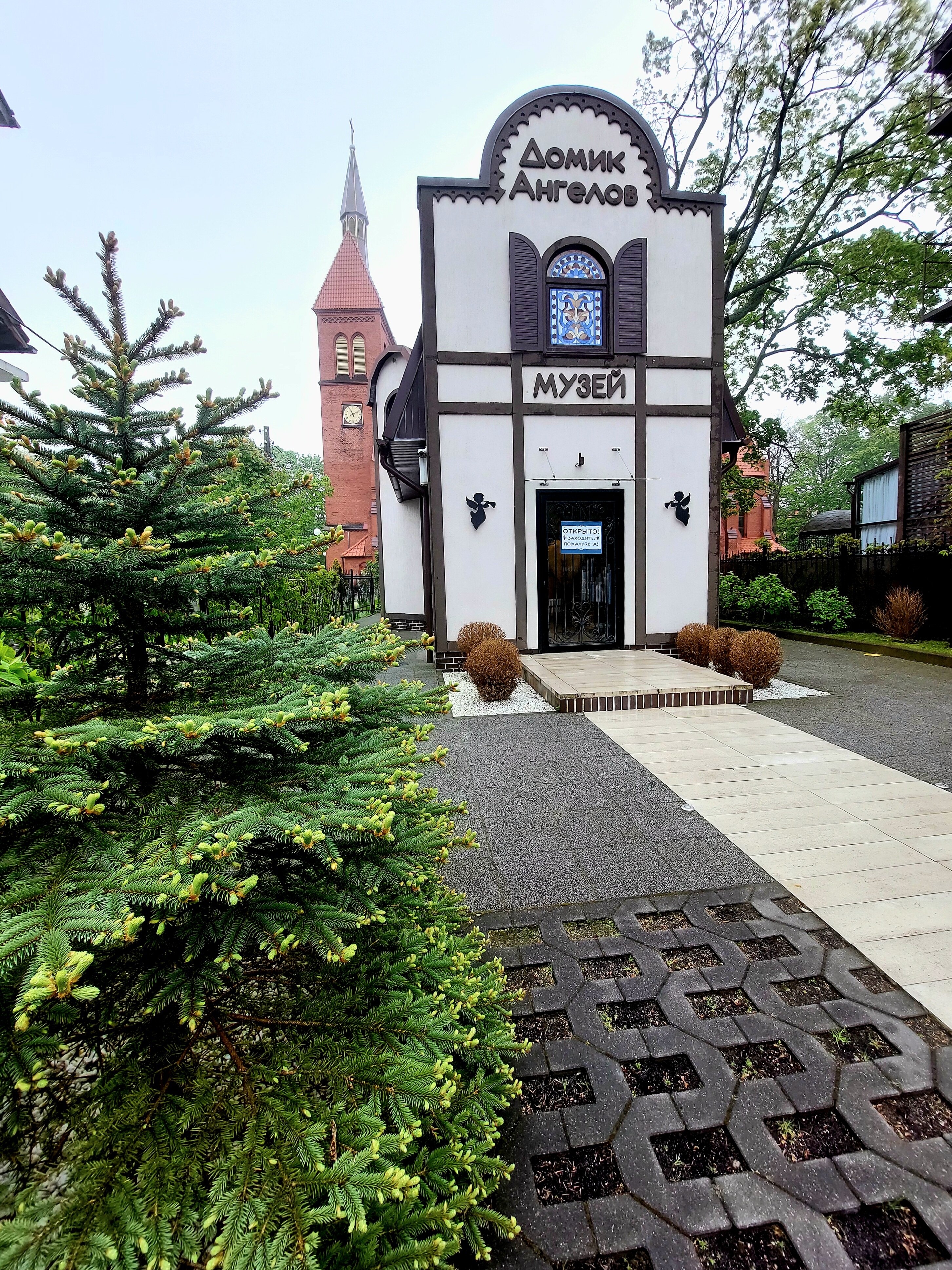 Фото Геркулес