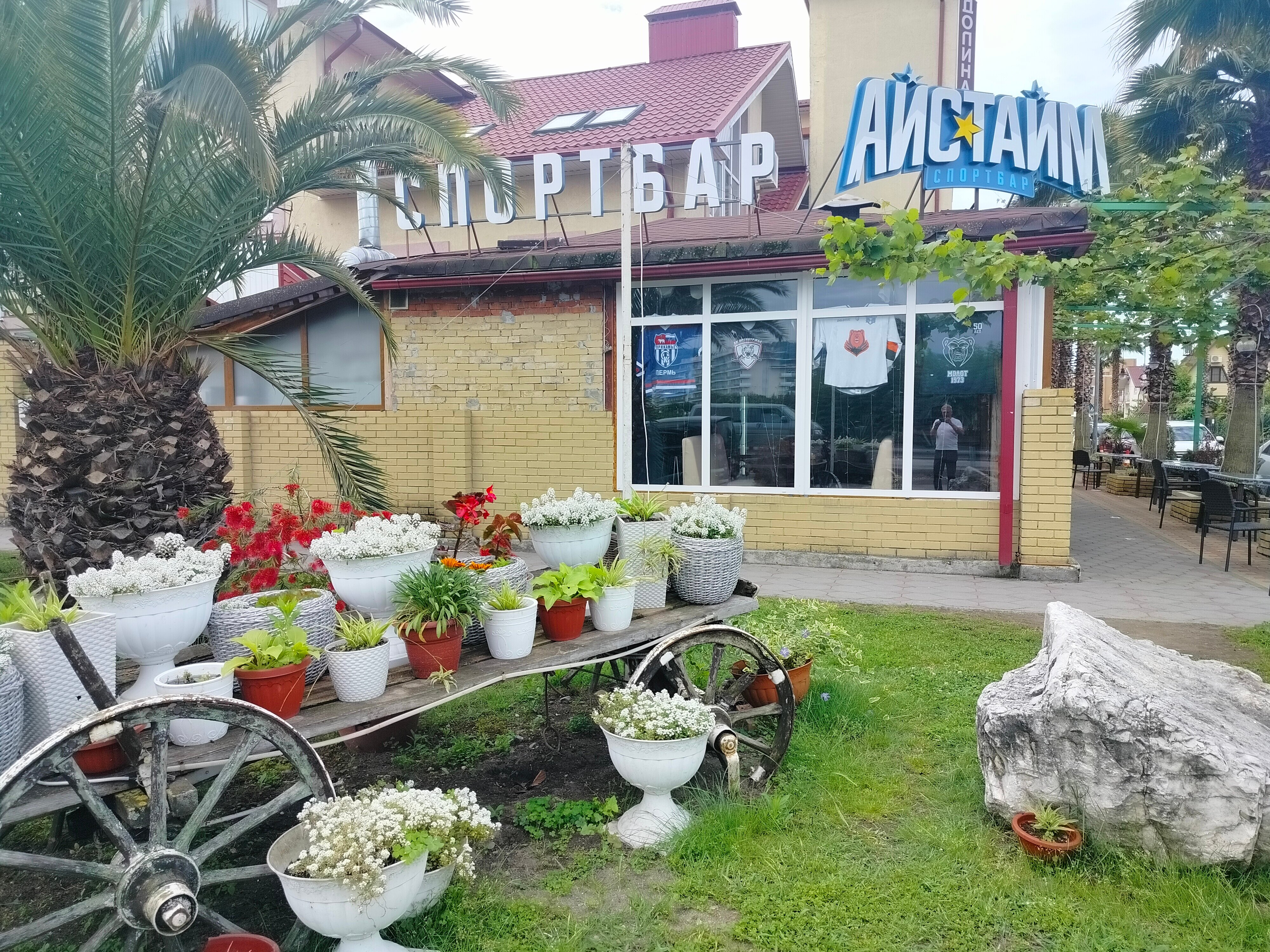 Фото Долина