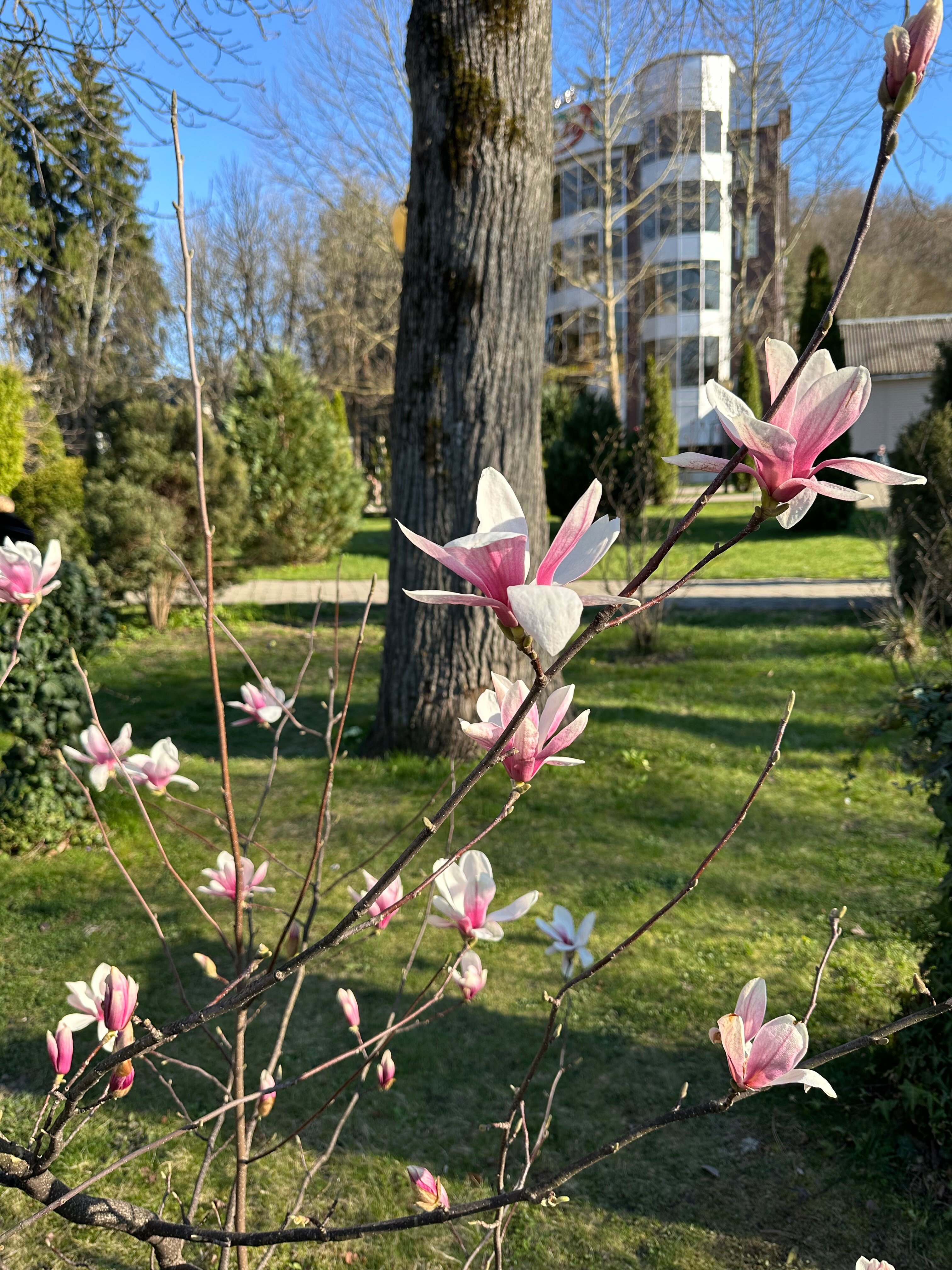 Фото Рич Хаус