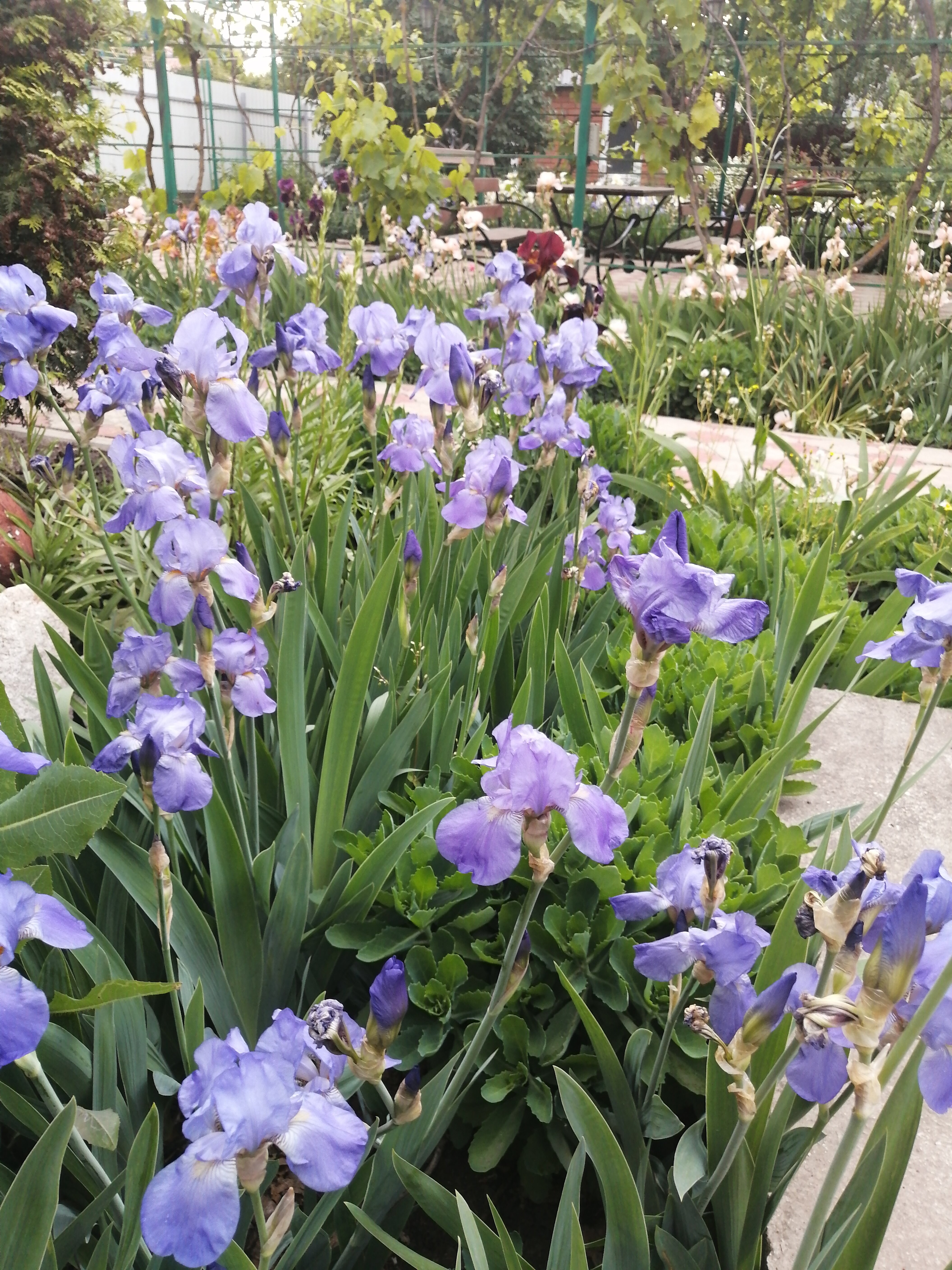 Фото Гостевой дом Югра на Приморском