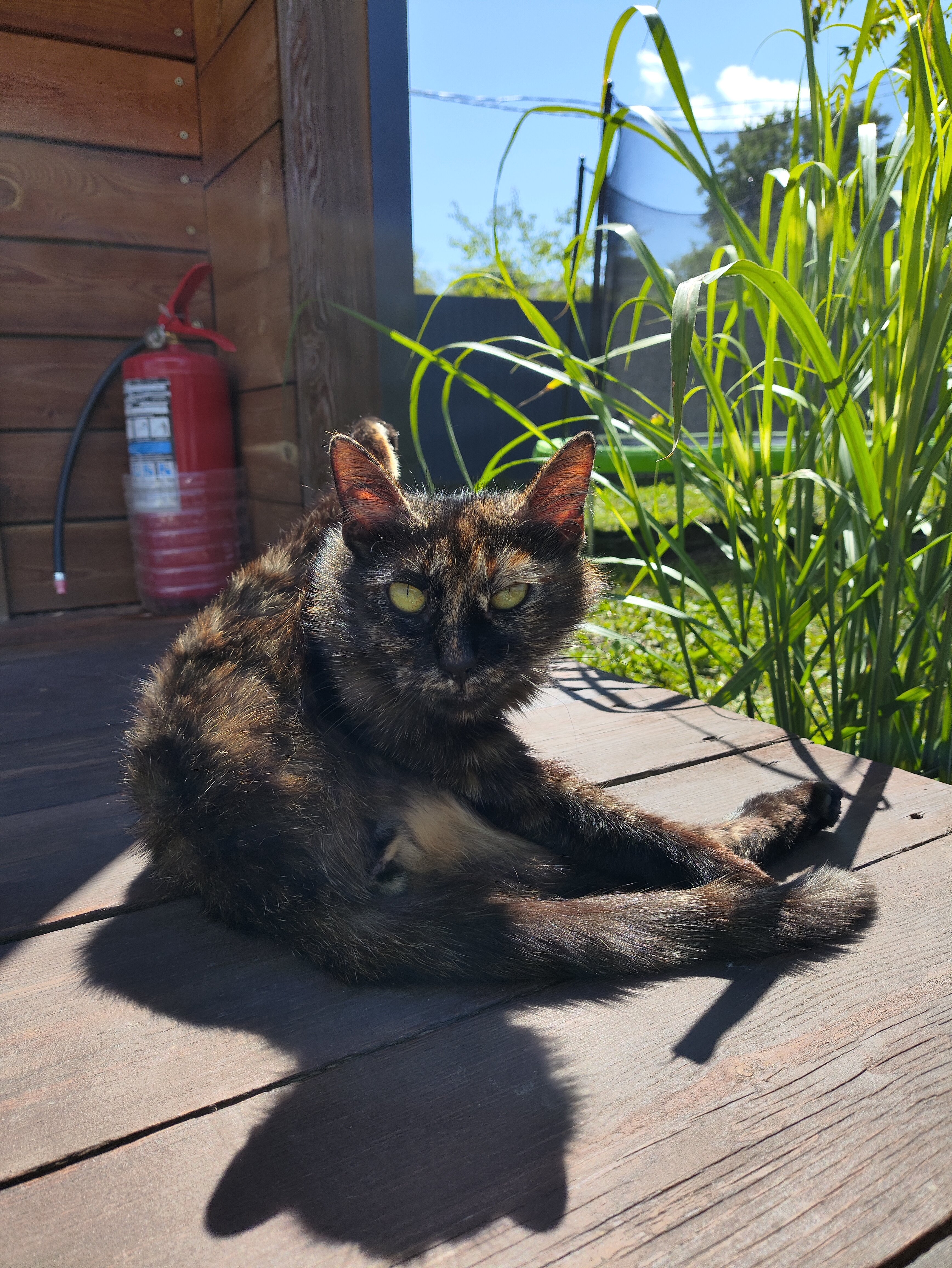 Фото Горы и точка