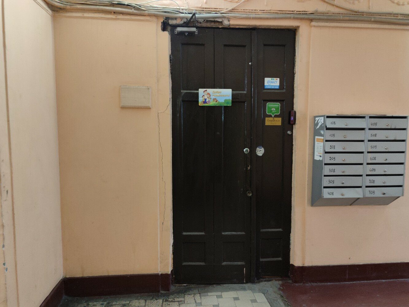 Фото Старый кот