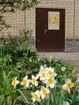Art studio Kolibri (Turistskaya Street, 30к1), school of the arts