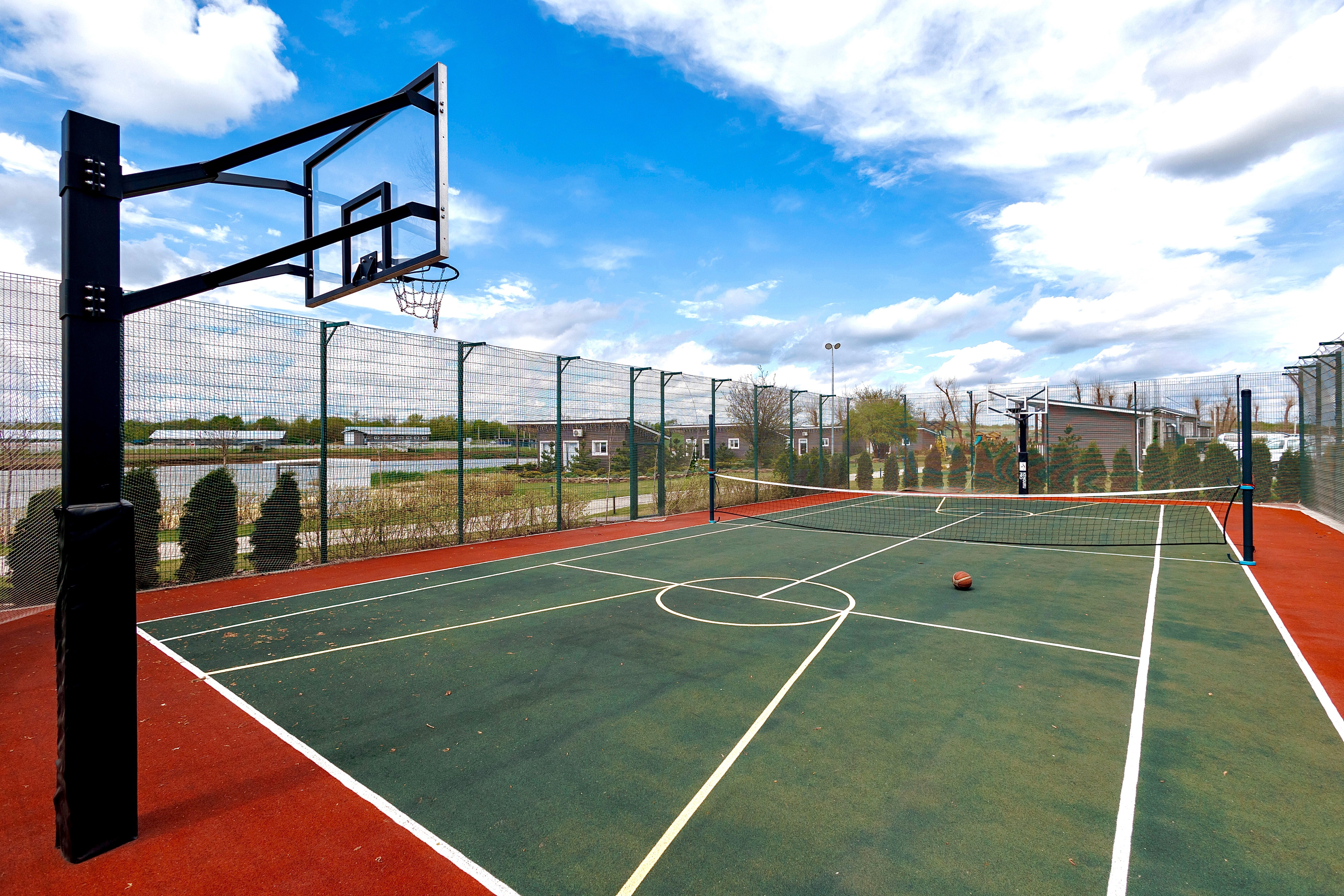 Фото Феникс