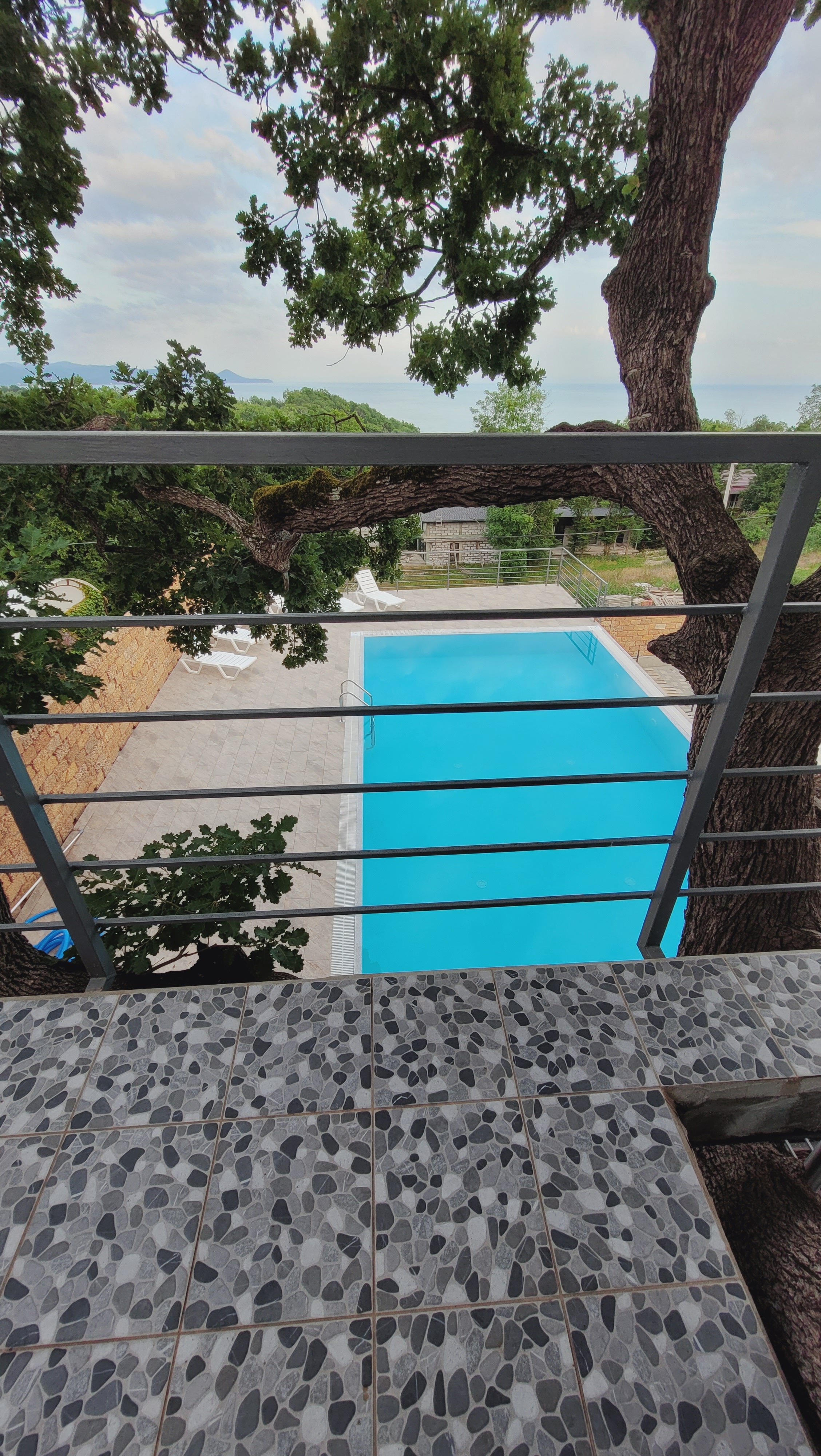 Фото Морелес