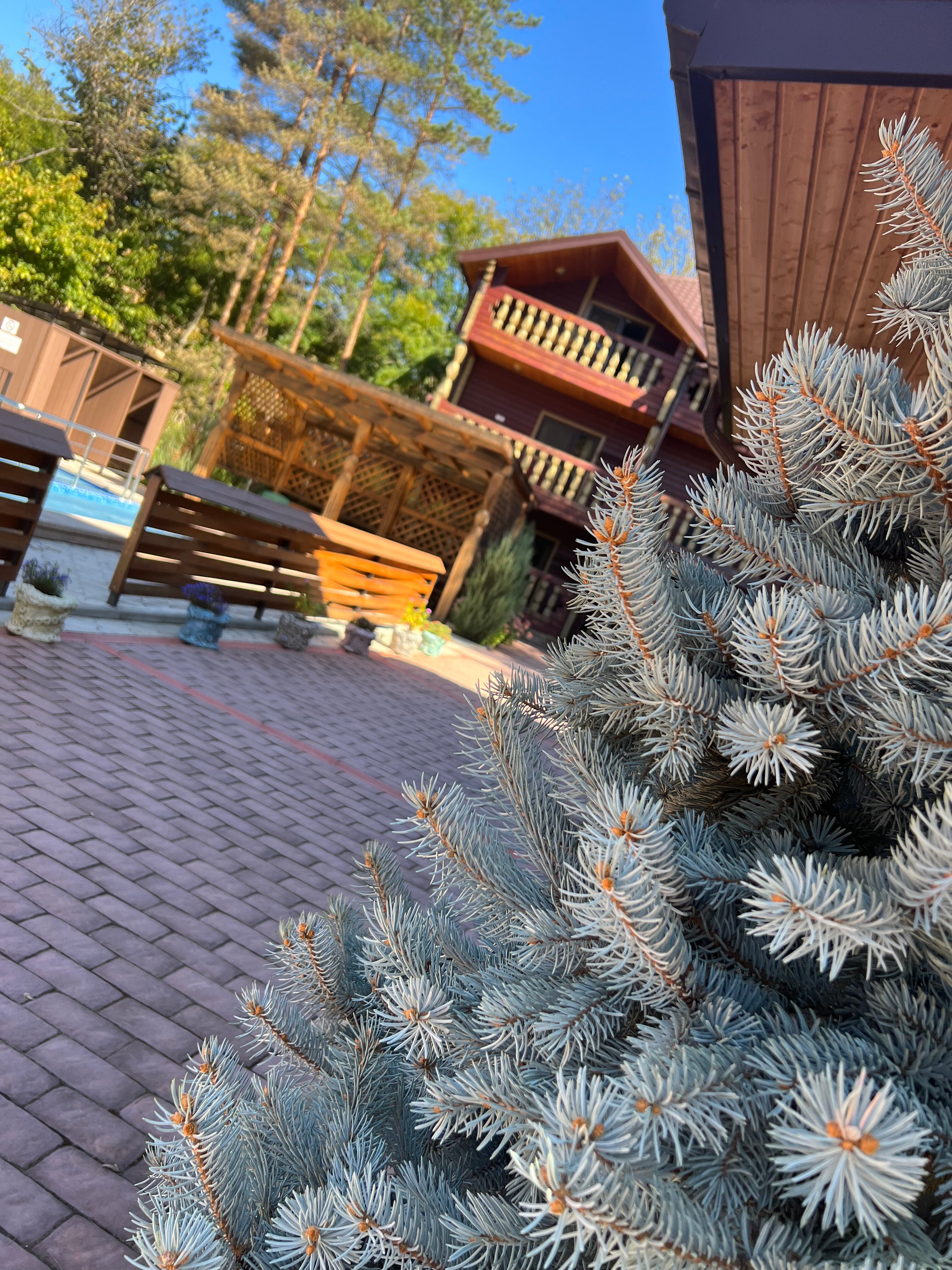 Фото Прохладный