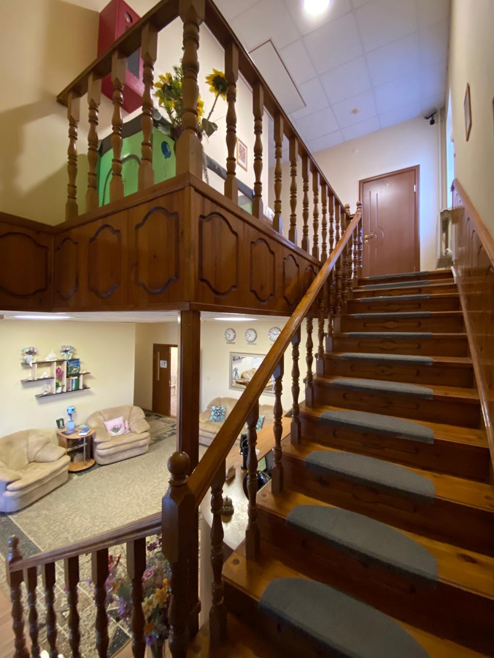 Фото Дельфин