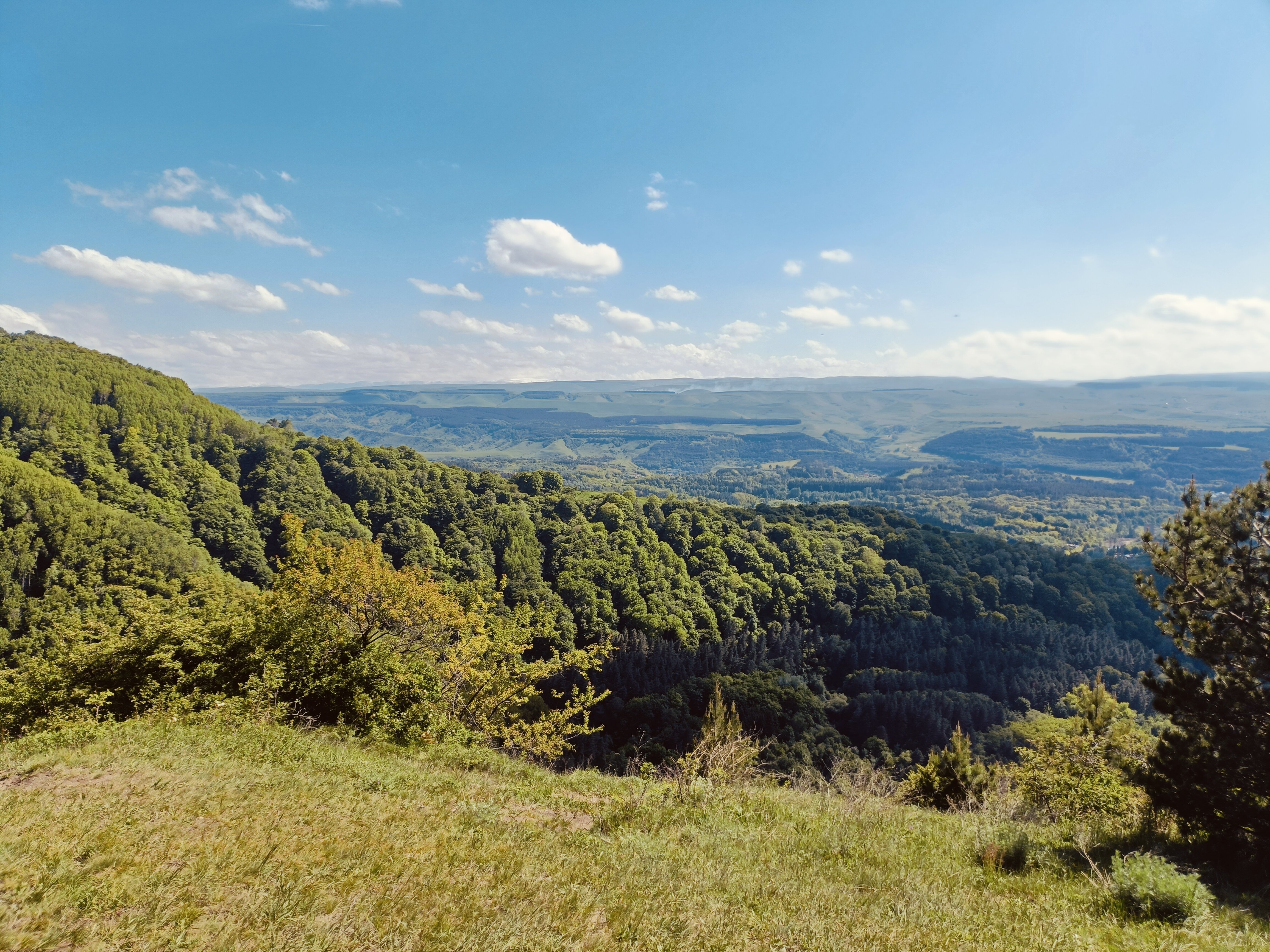 Фото Марсель