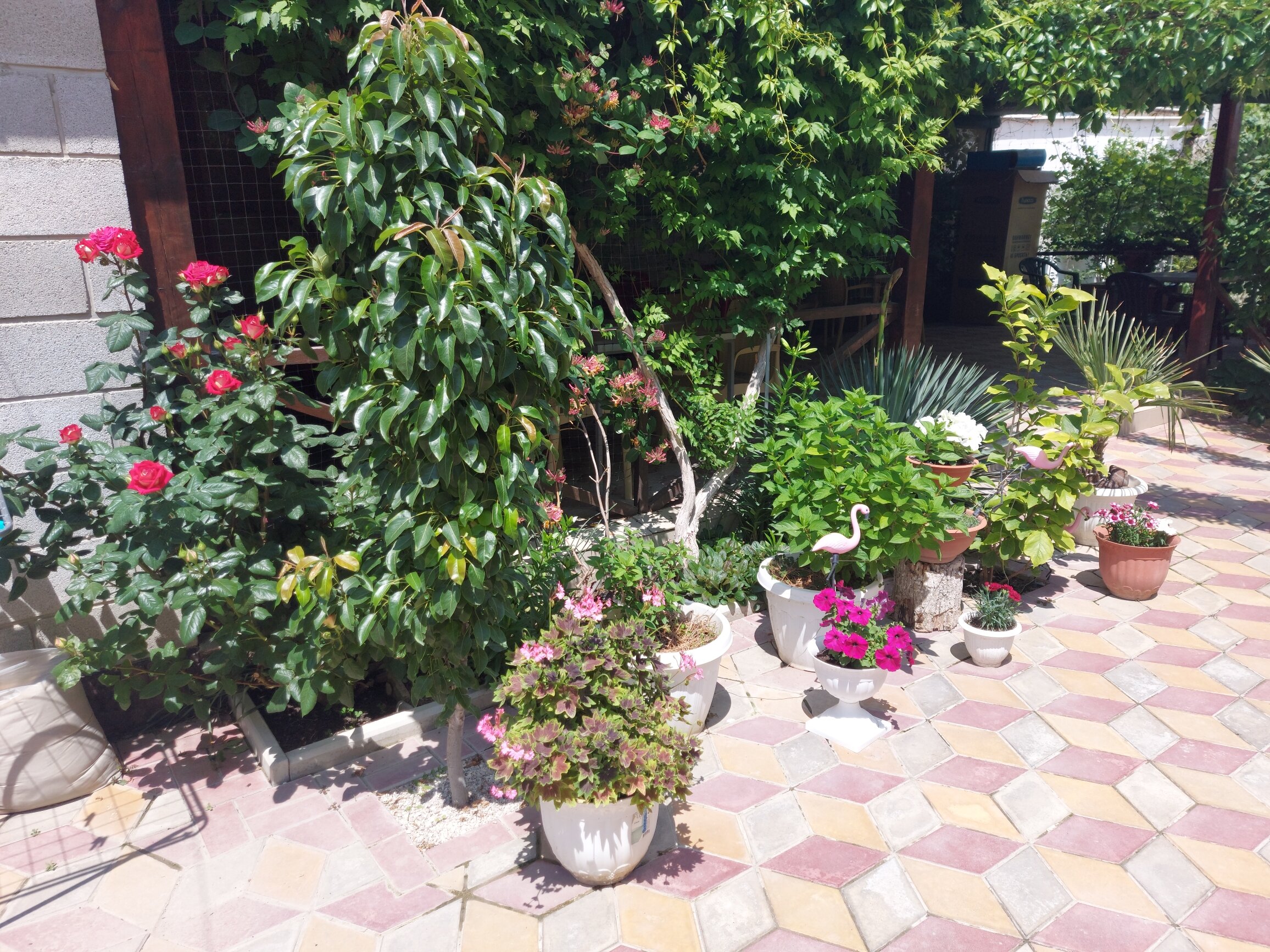 Фото Гостевой дом Виктория