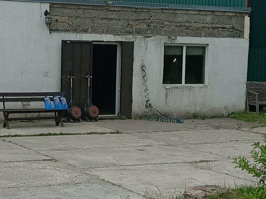 Tire service Шиномонтаж, Kaliningrad Oblast, photo