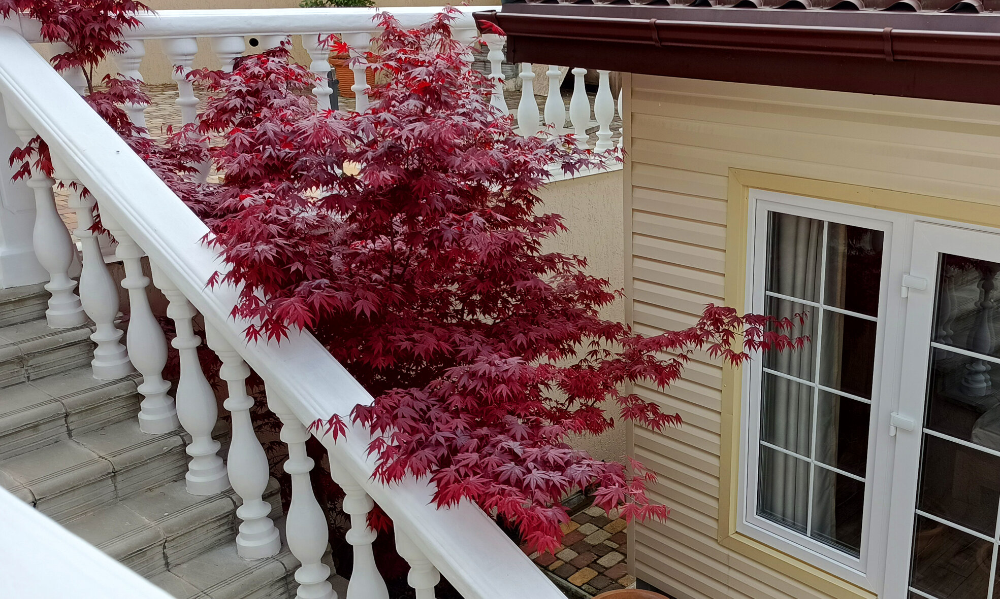 Фото Французский дом