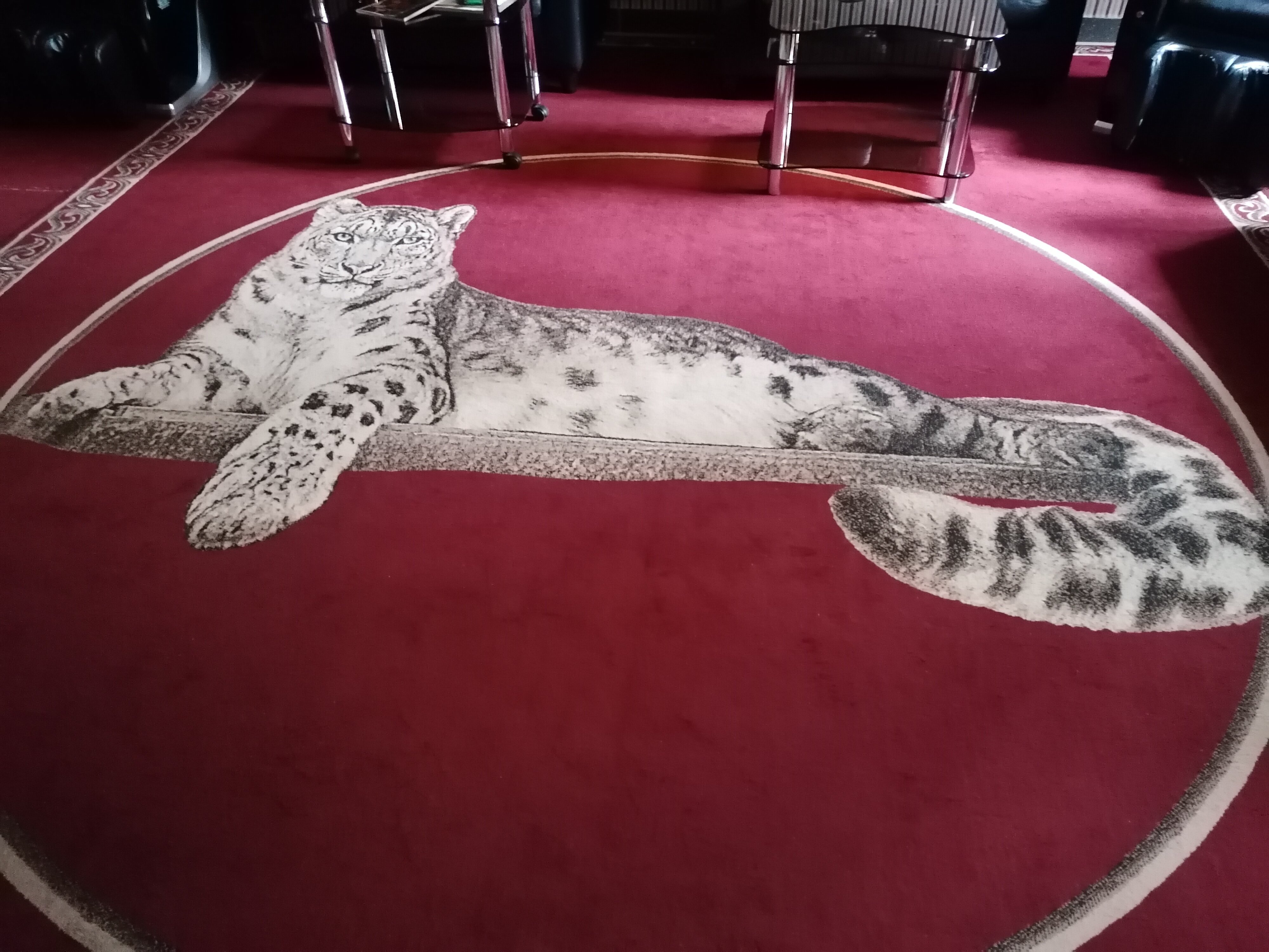 Фото Снежный Барс