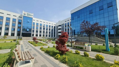 Qizil pantiesda jinsiy aloqa erotikasi chiroyli qizlar