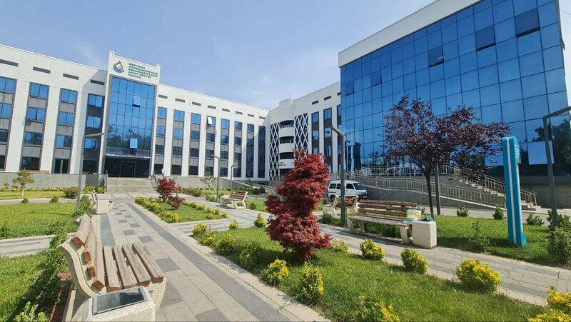 Mommy Porn Onlayn tomosha qiling