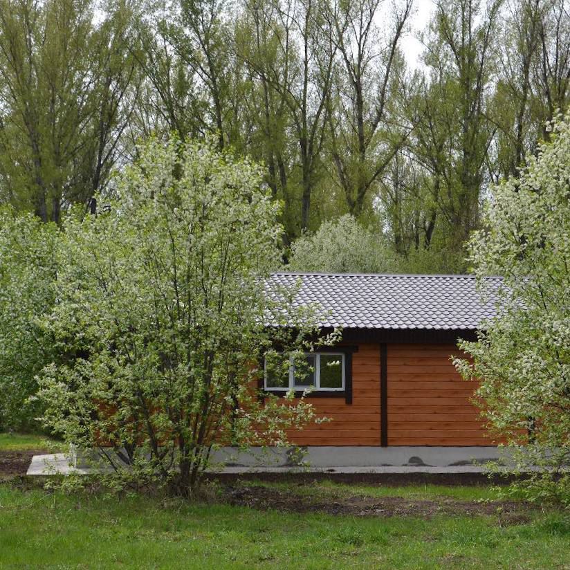 Фото Хаус 55