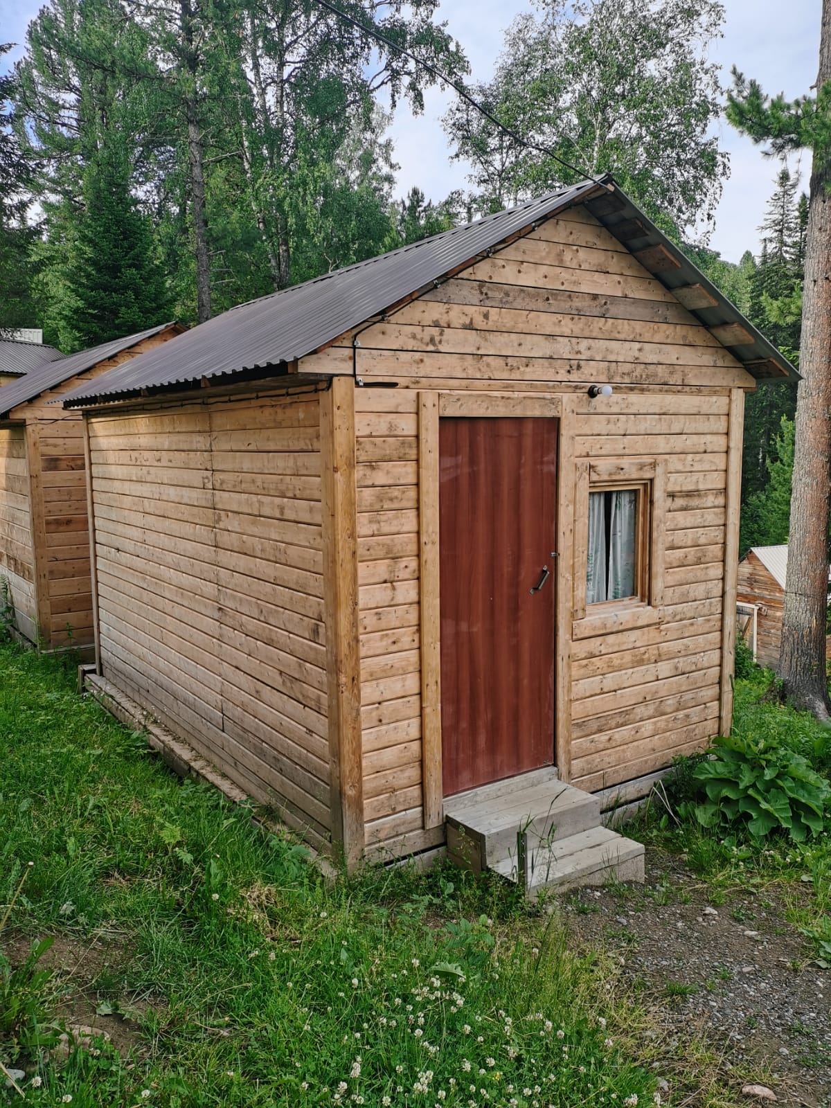 Фото Кедровый берег