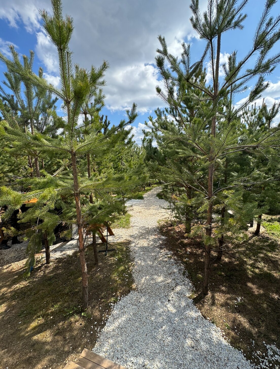 Фото BamBoo Village